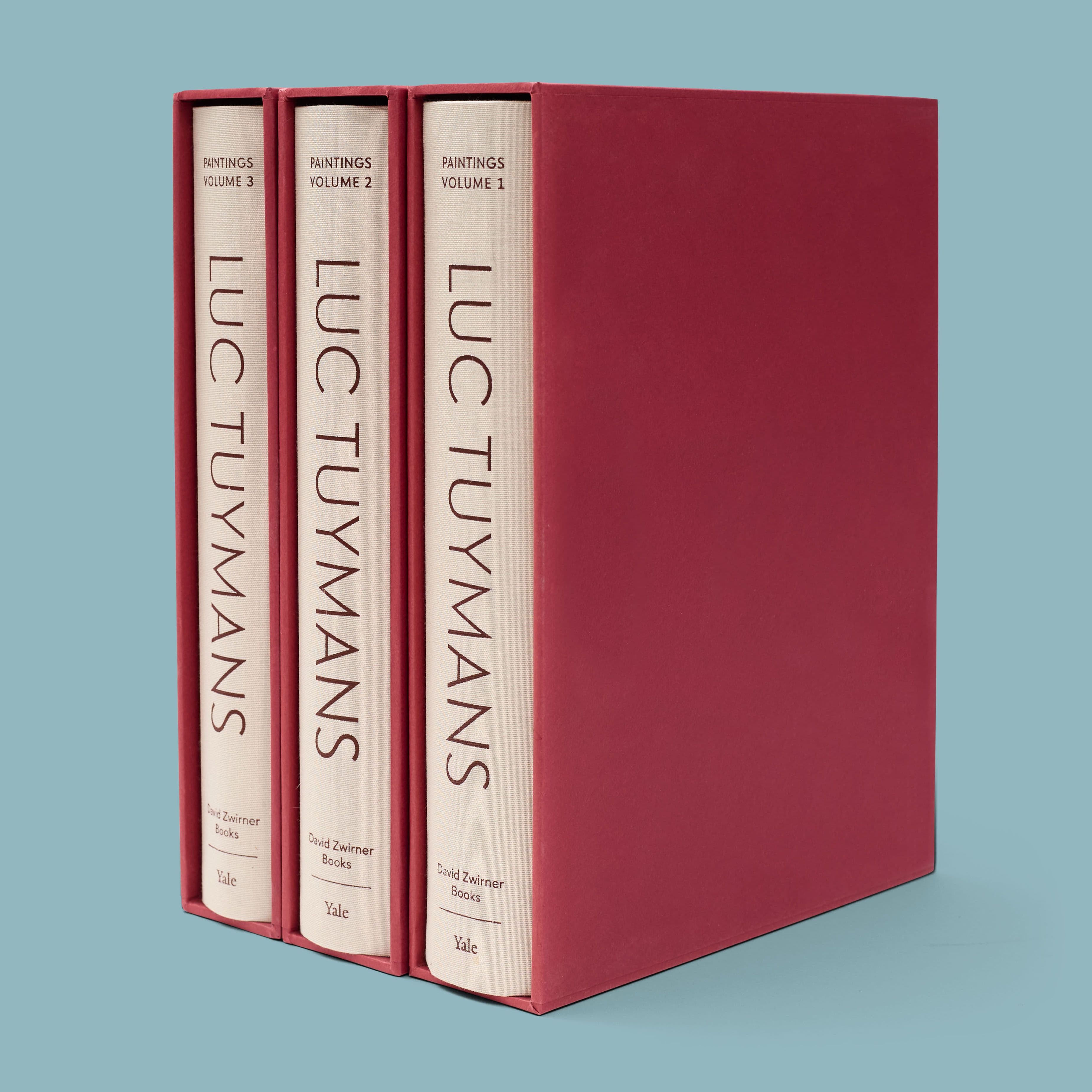 Luc Tuymans: Catalogue Raisonné of Paintings