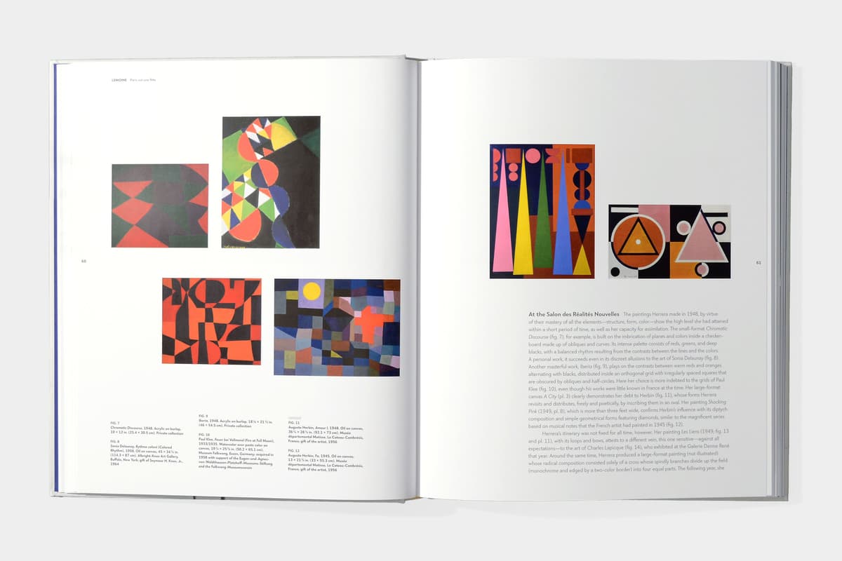 Carmen Herrera: Lines of Sight - image