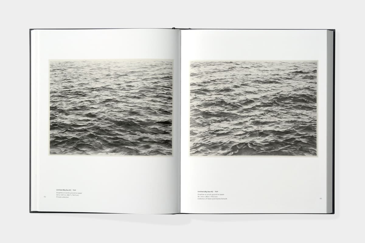 Vija Celmins: To Fix The Image In Memory - image