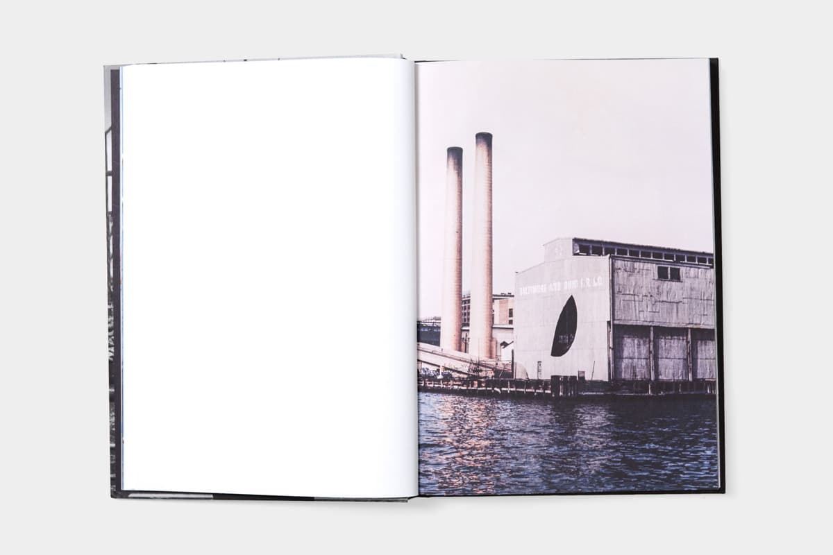 David Hammons: Day's End - image