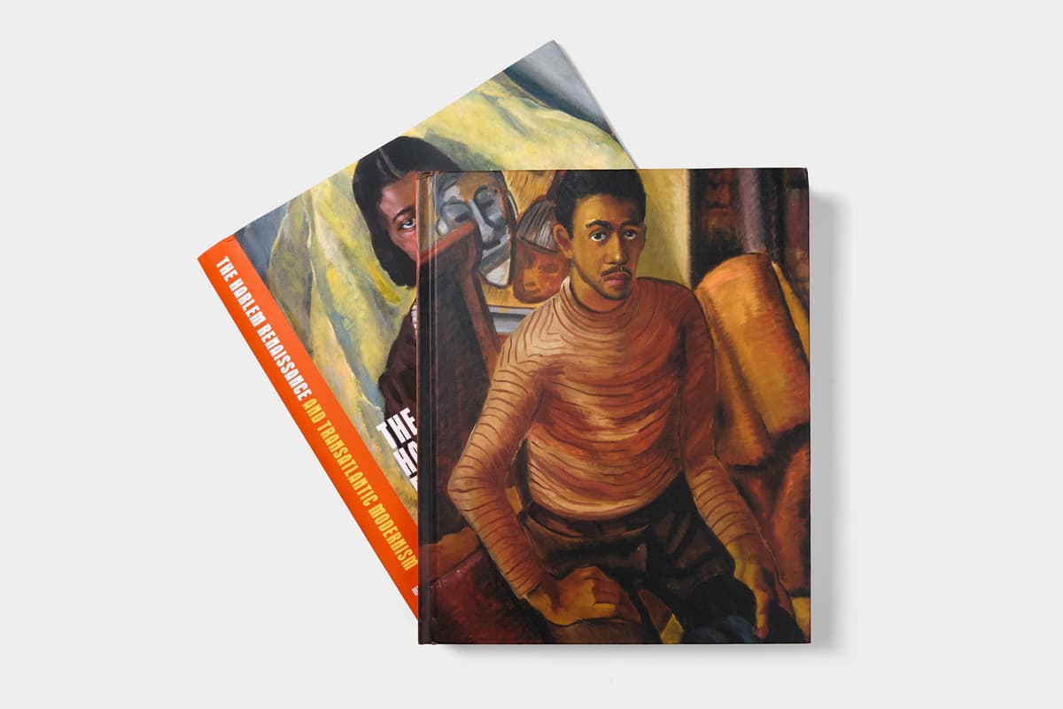 The Harlem Renaissance and Transatlantic Modernism - image
