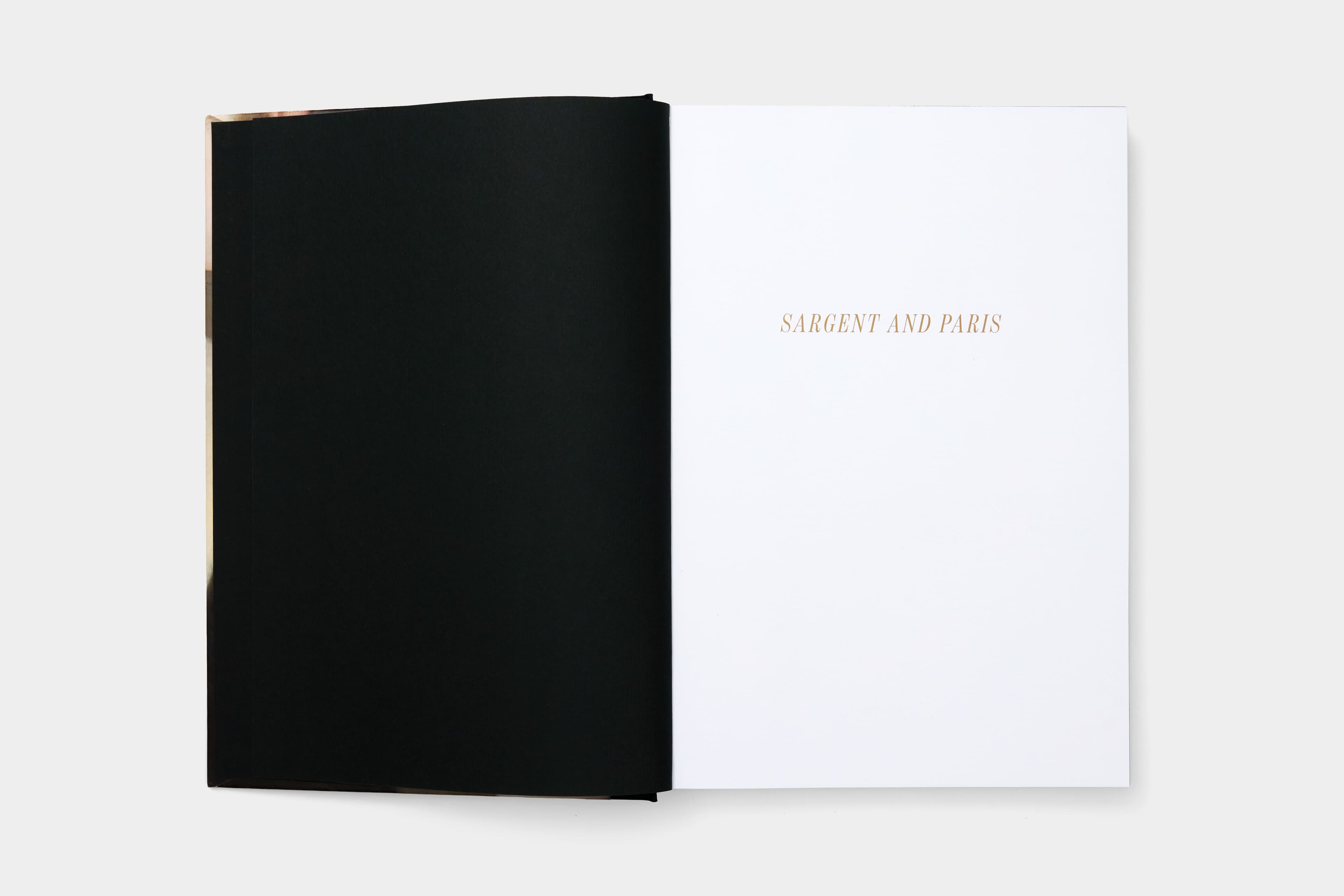 Sargent and Paris - image