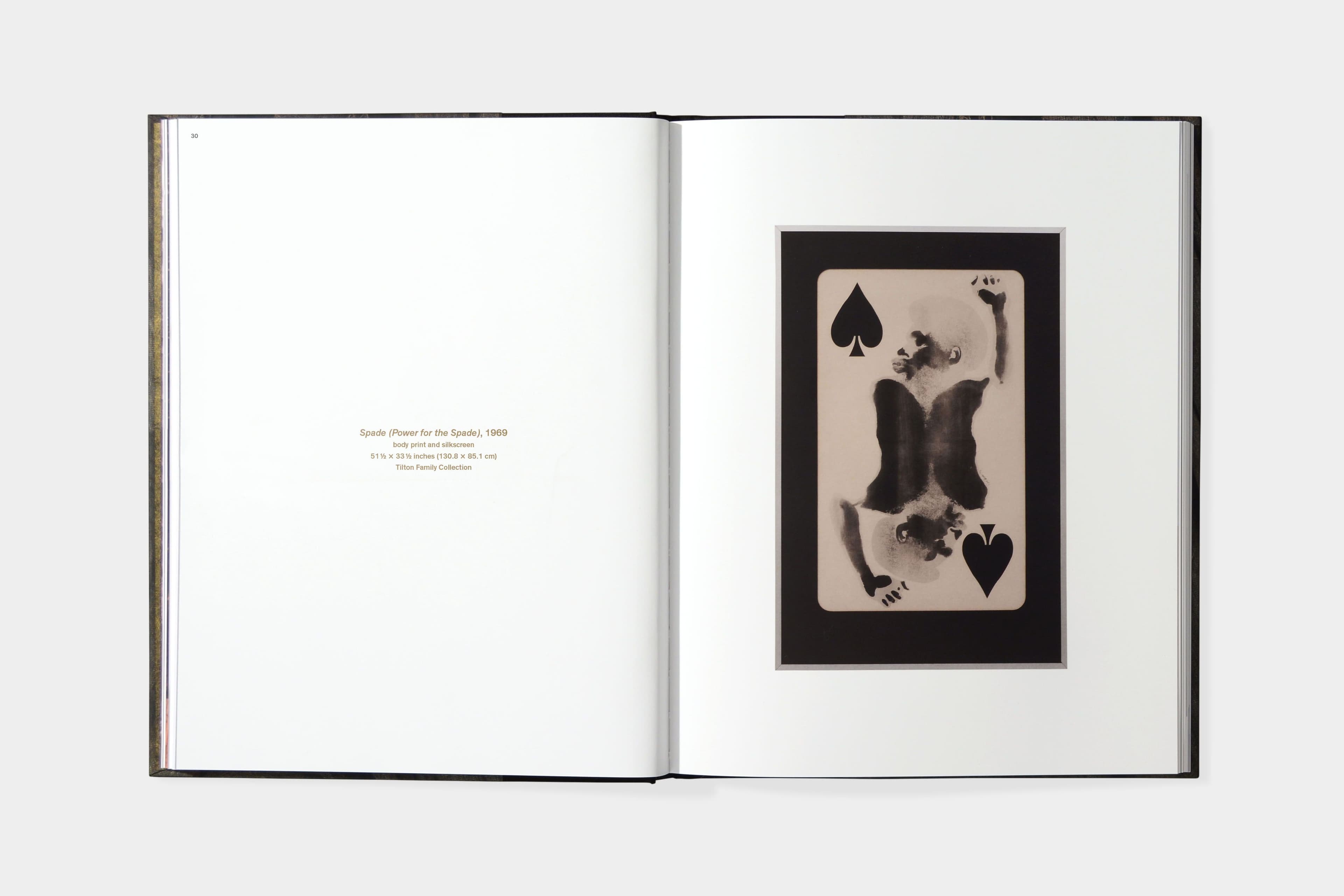 David Hammons: Five Decades - image