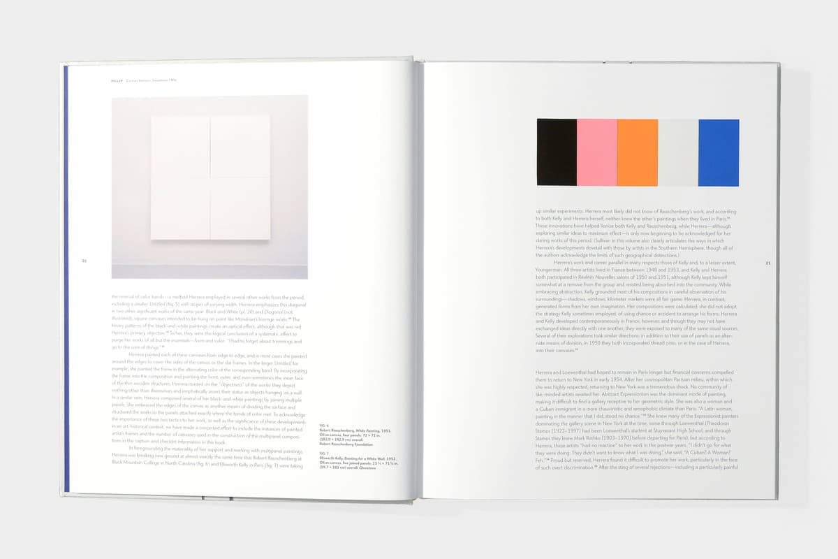 Carmen Herrera: Lines of Sight - image