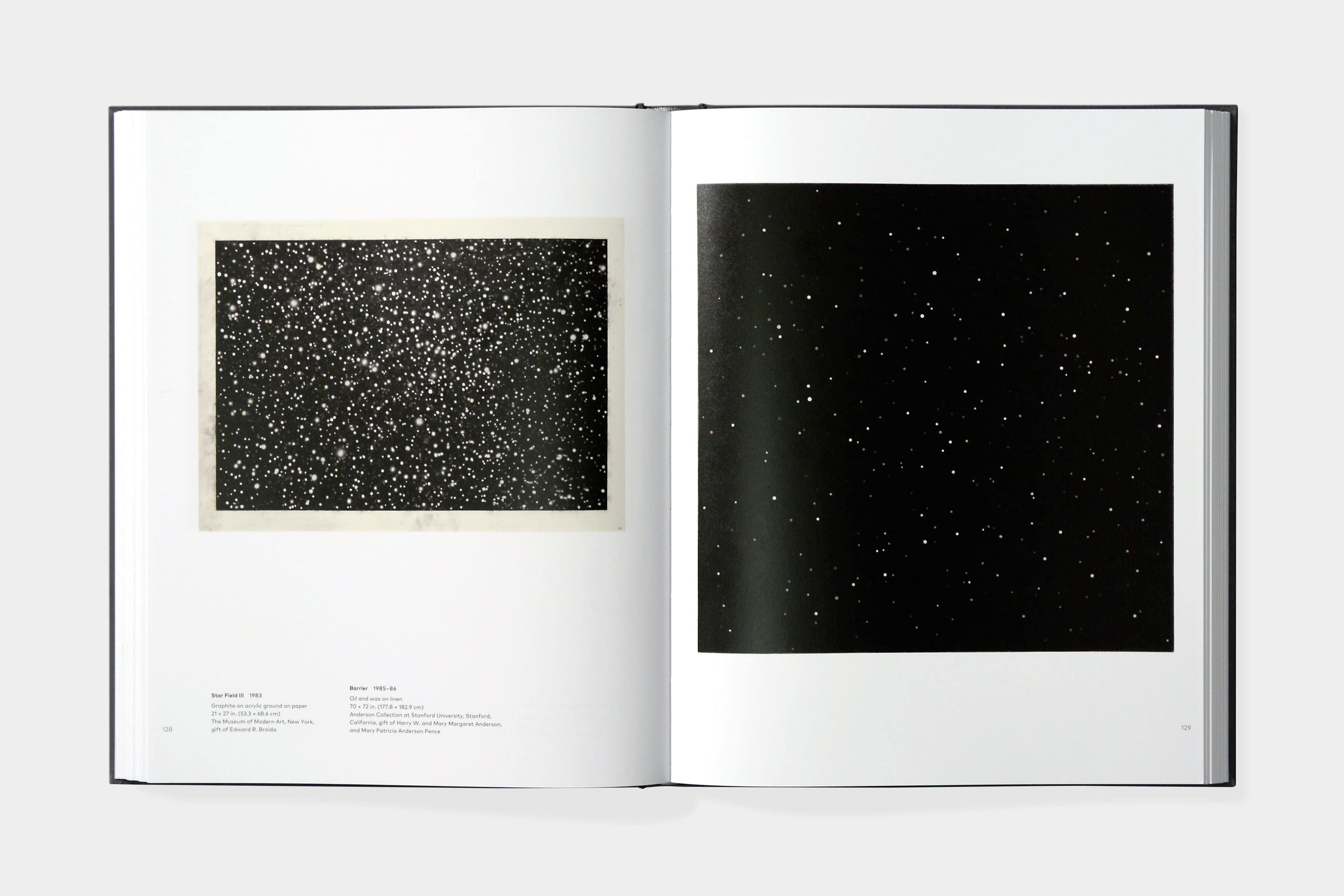 Vija Celmins: To Fix The Image In Memory - image