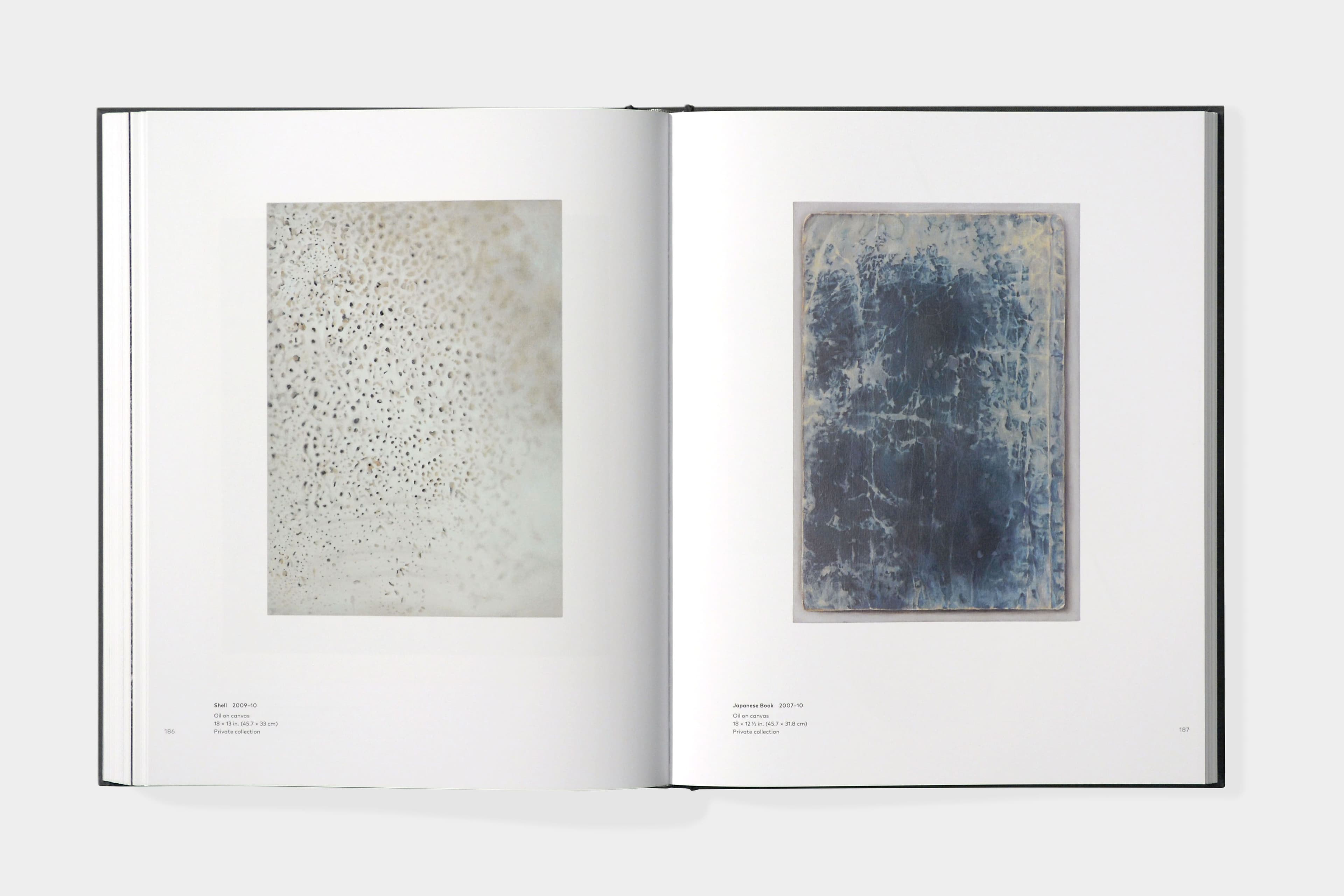 Vija Celmins: To Fix The Image In Memory - image