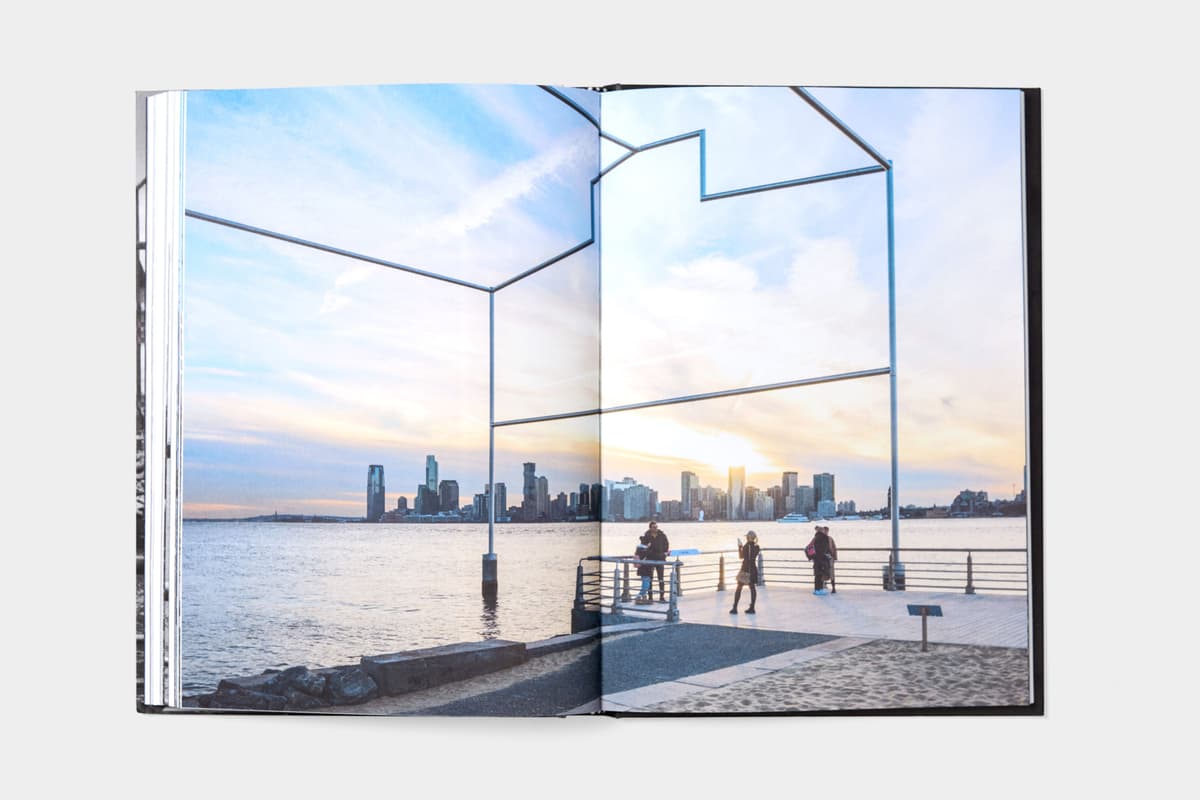 David Hammons: Day's End - image