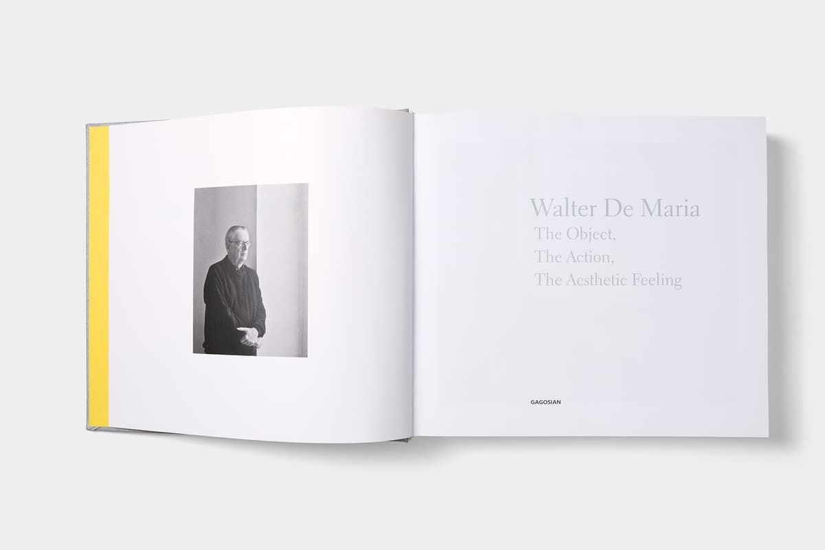 Walter De Maria: The Object, the Action, the Aesthetic Feeling - image