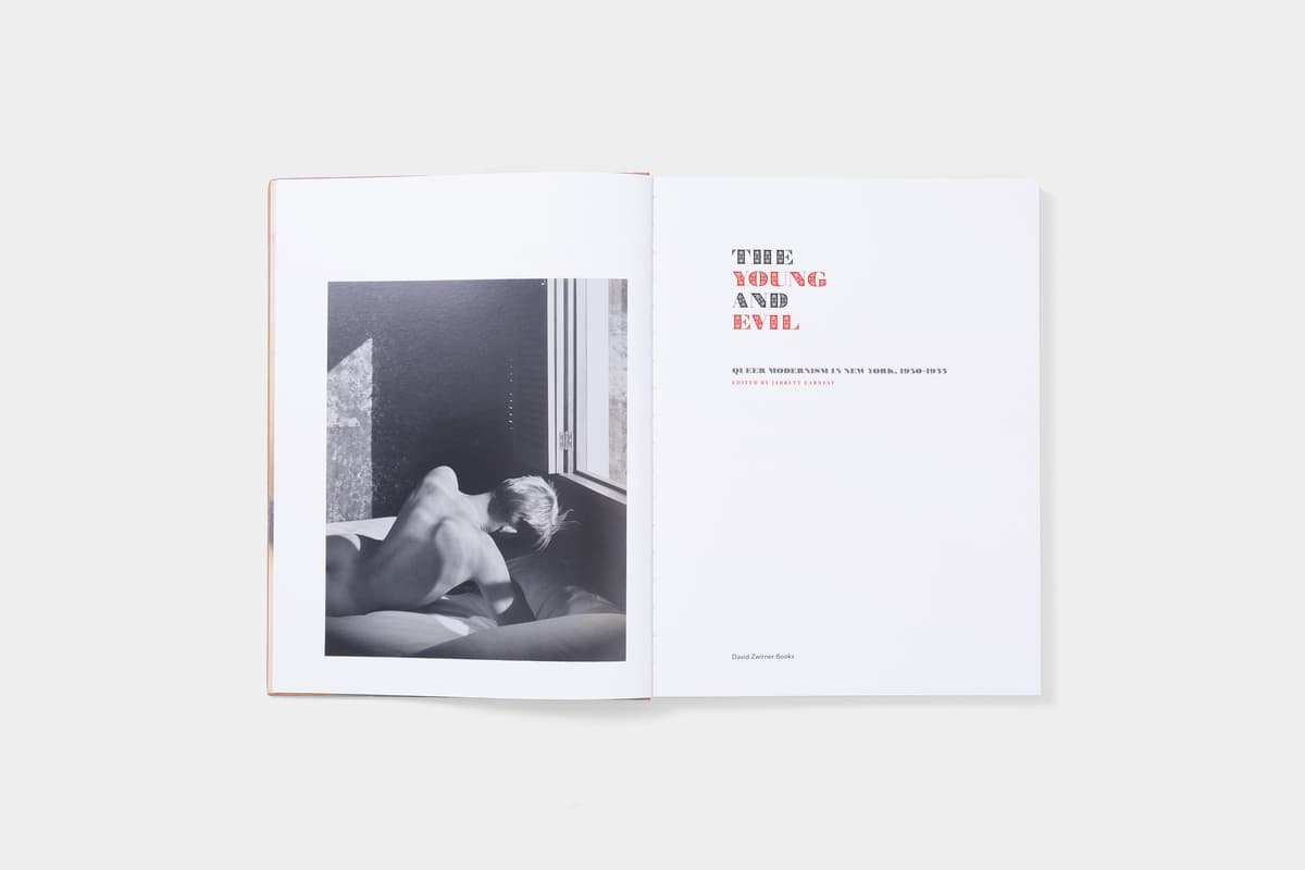 The Young and Evil: Queer Modernism in New York - image