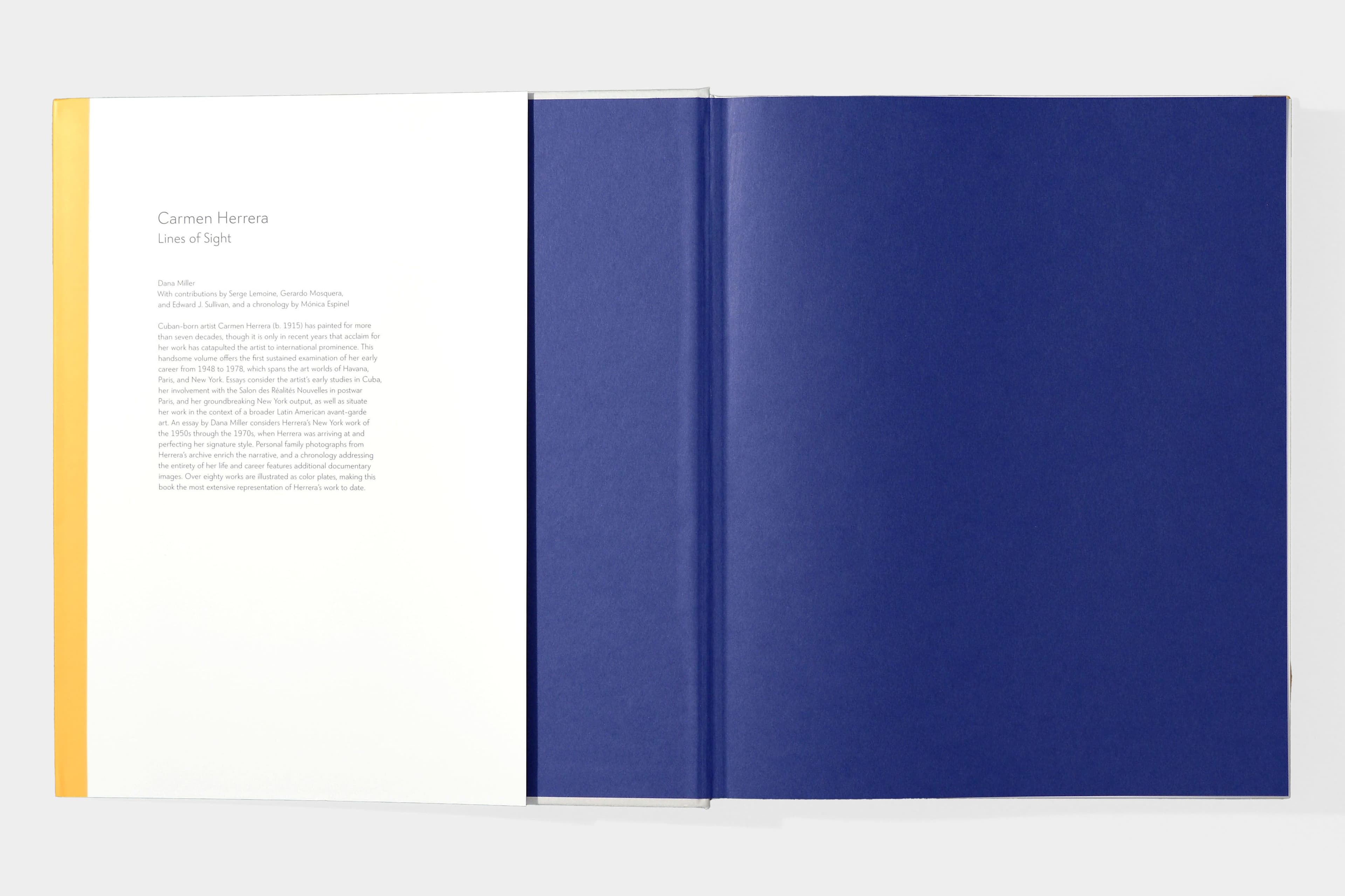 Carmen Herrera: Lines of Sight - image