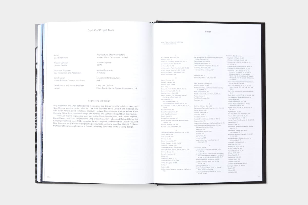 David Hammons: Day's End - image