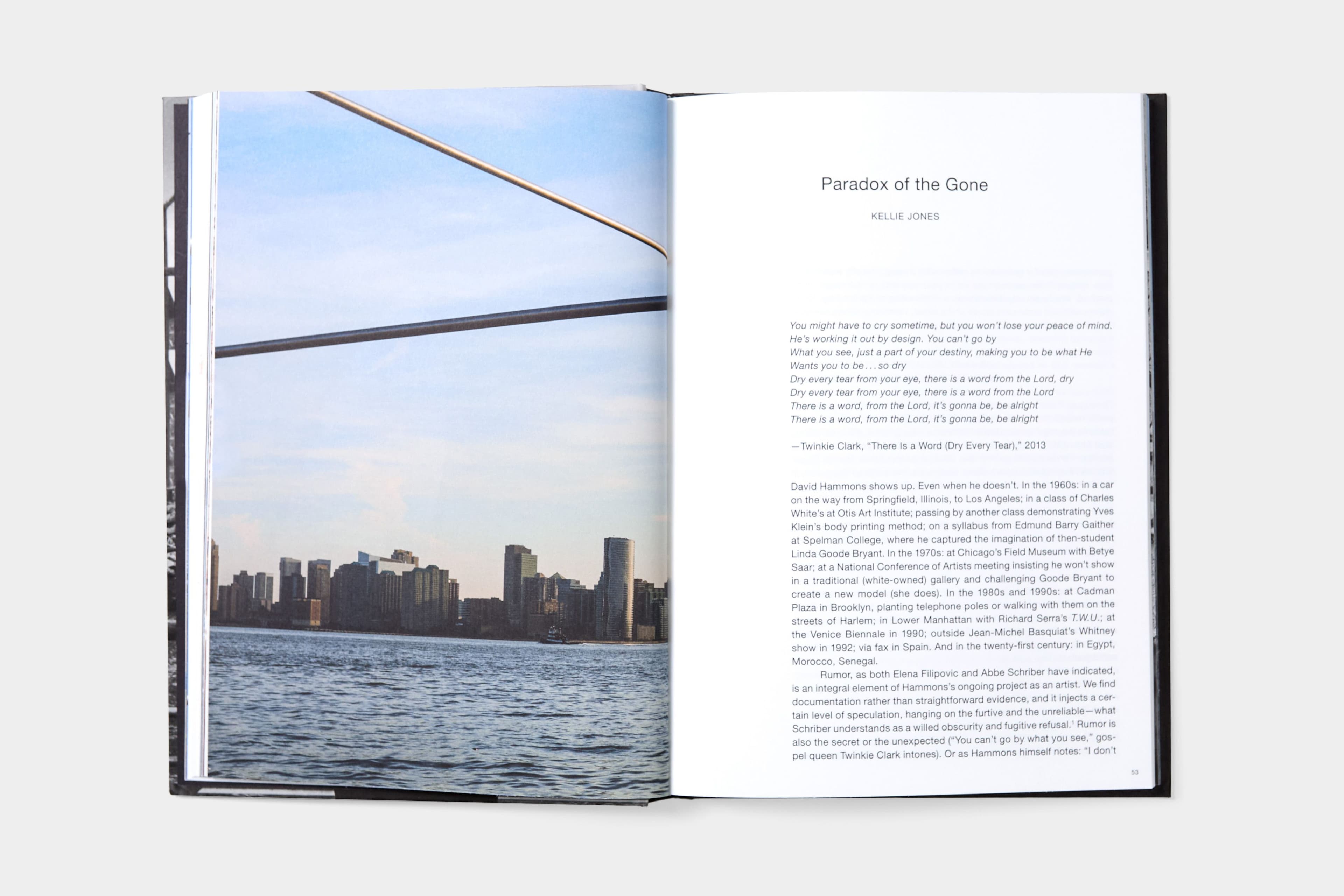 David Hammons: Day's End - image