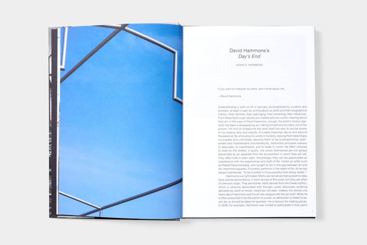 David Hammons: Day's End - image