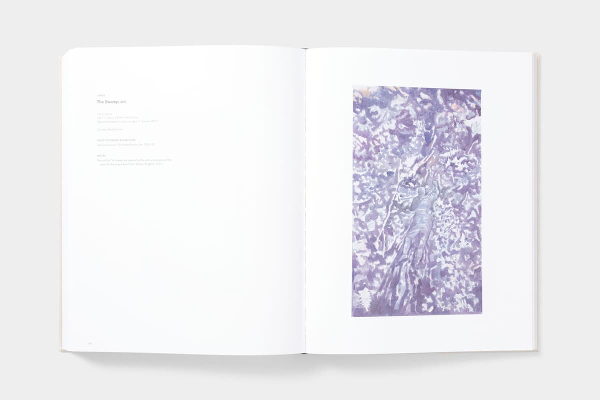 Luc Tuymans: Catalogue Raisonné of Paintings - image