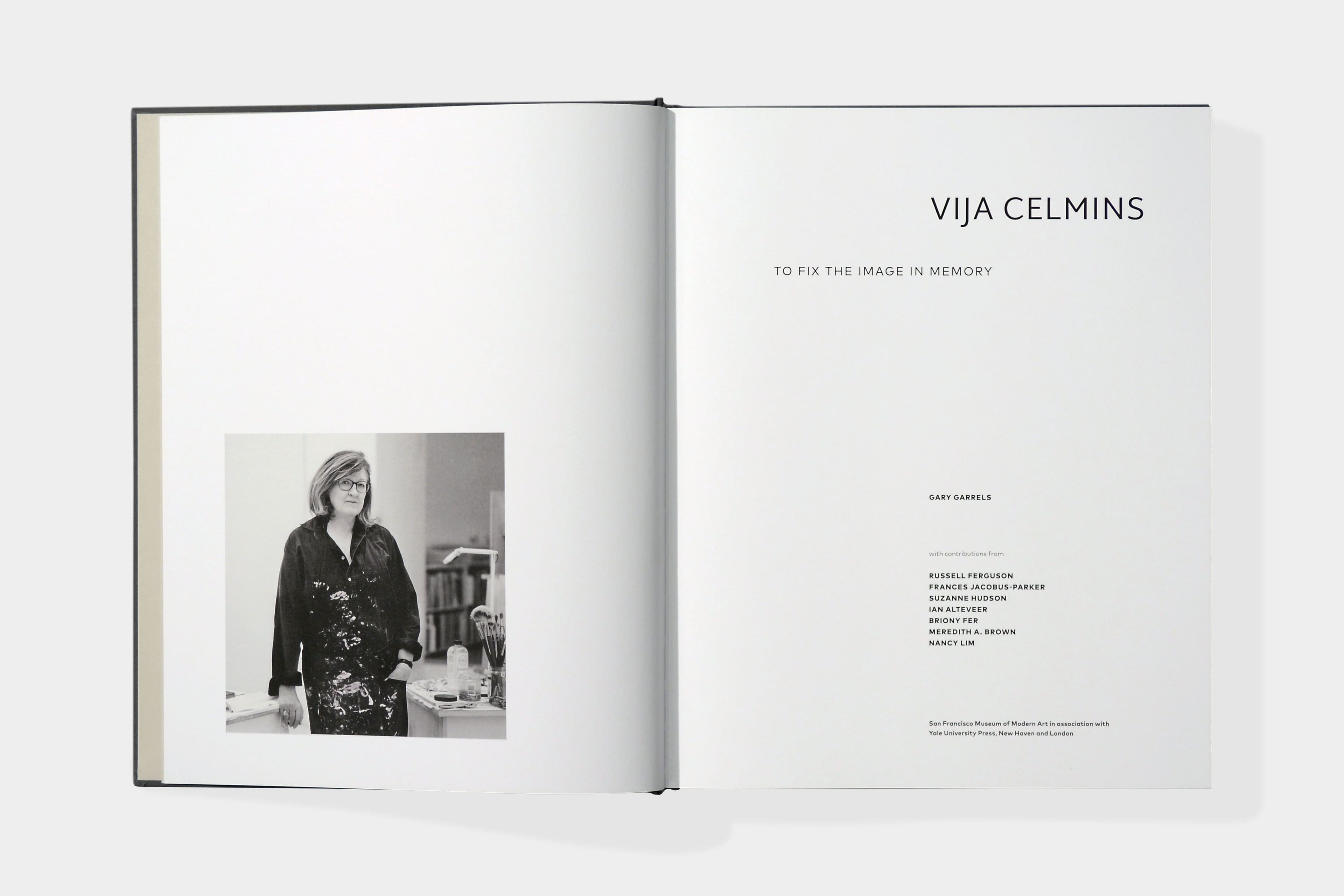 Vija Celmins: To Fix The Image In Memory - image