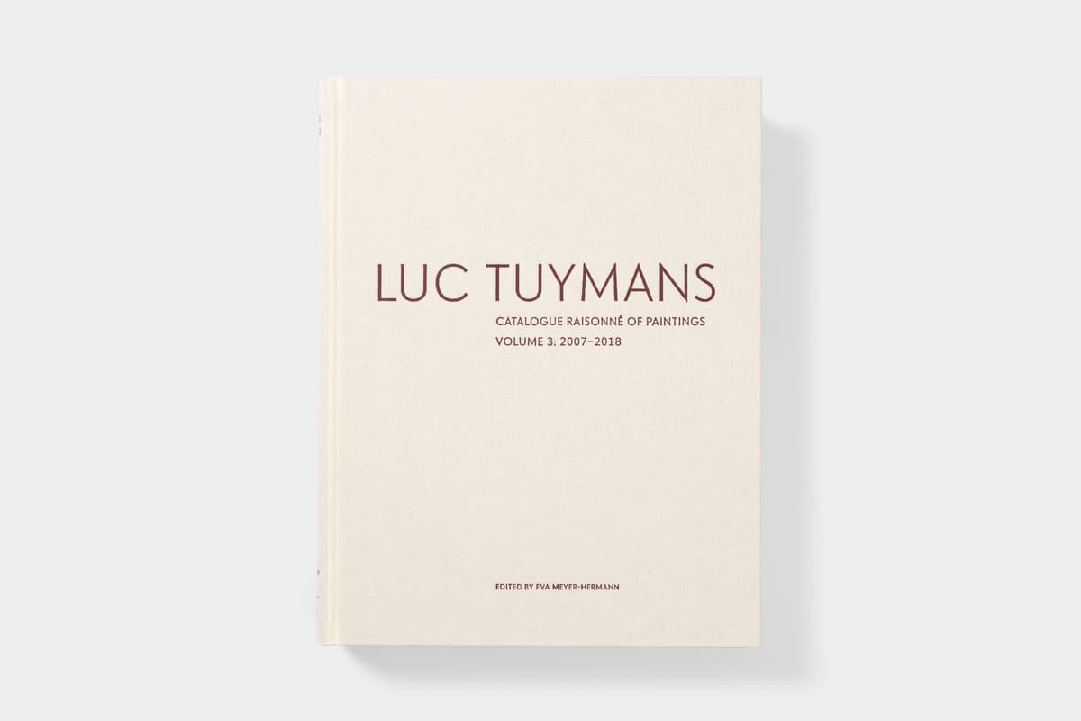 Luc Tuymans: Catalogue Raisonné of Paintings - image