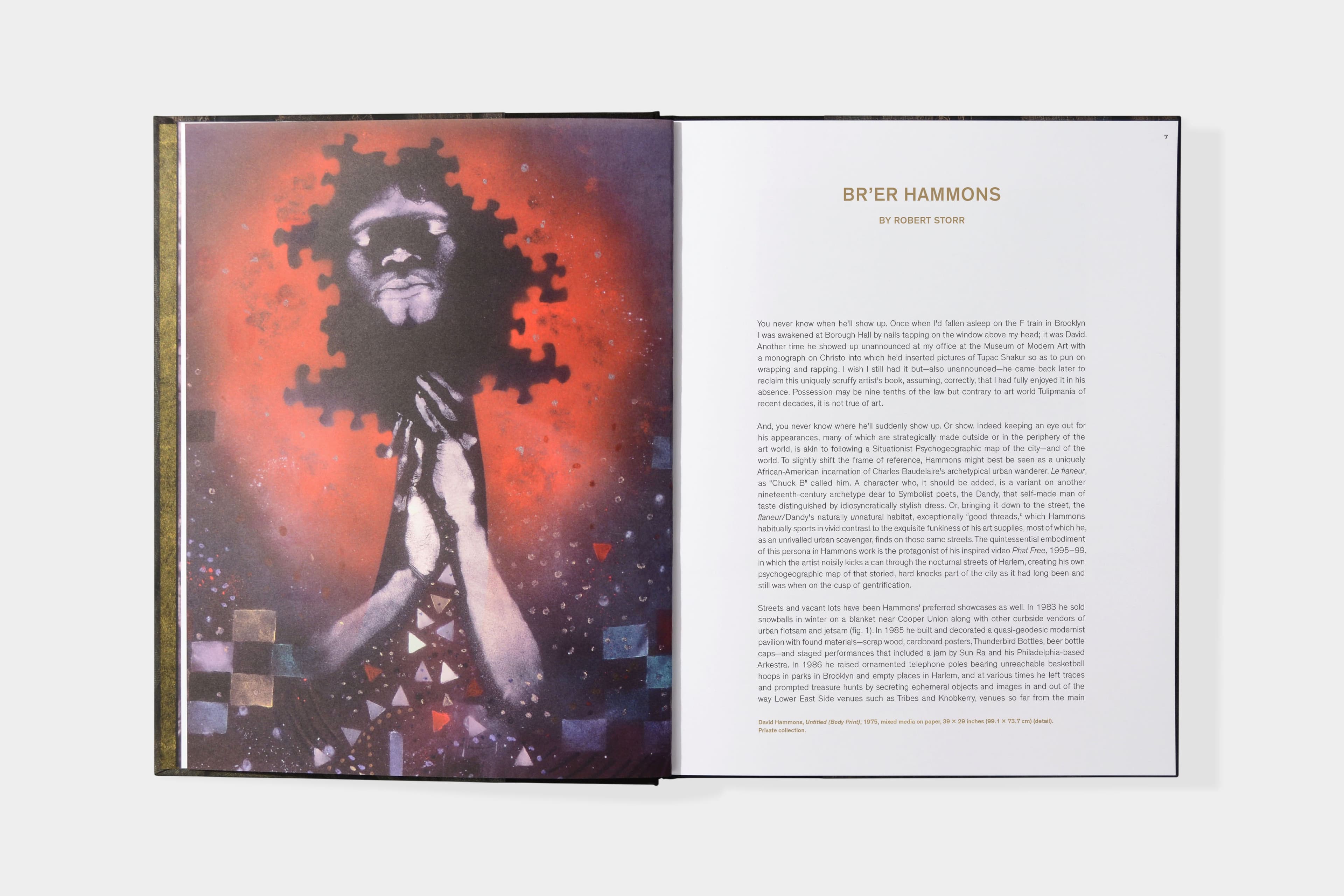 David Hammons: Five Decades - image