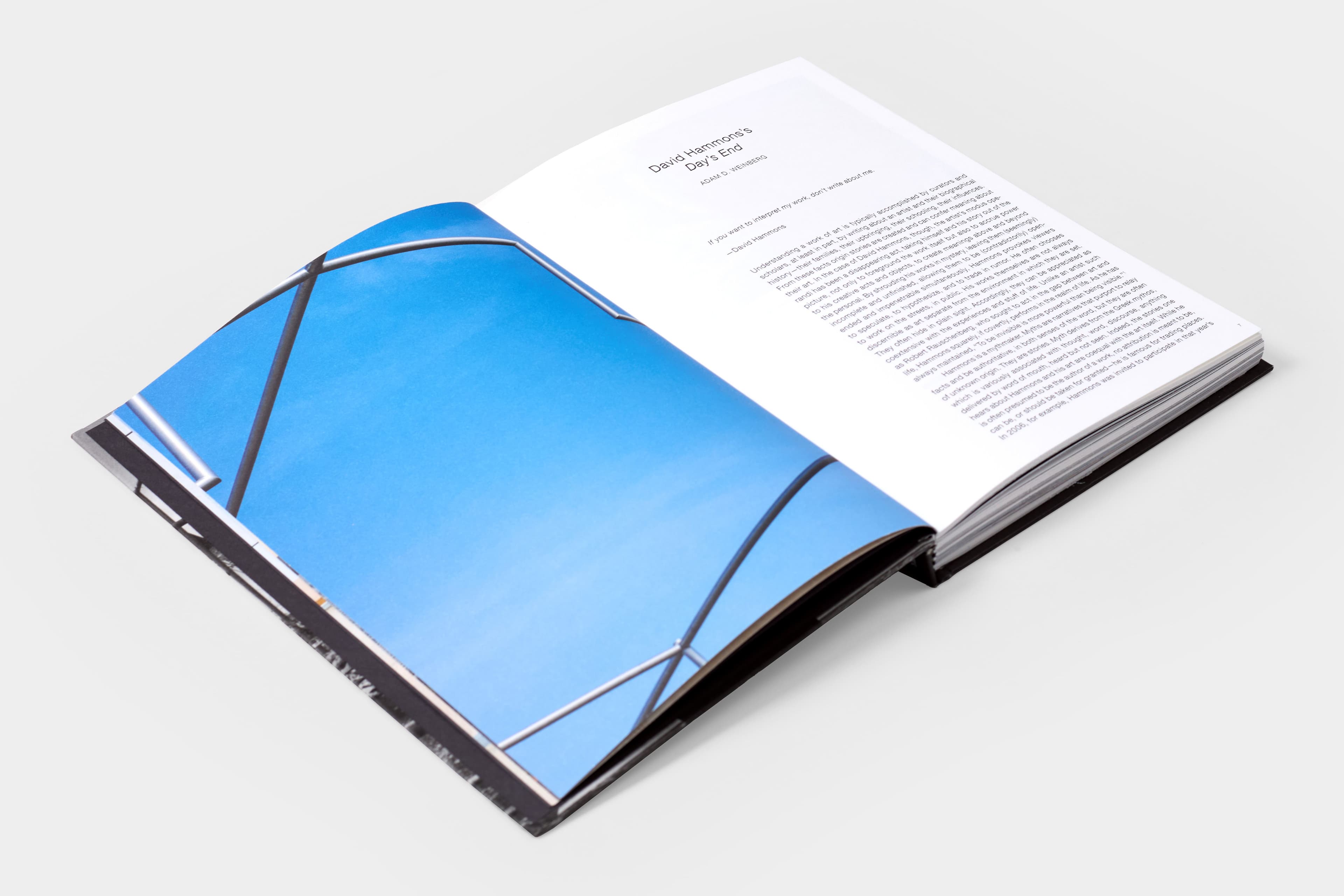 David Hammons: Day's End - image