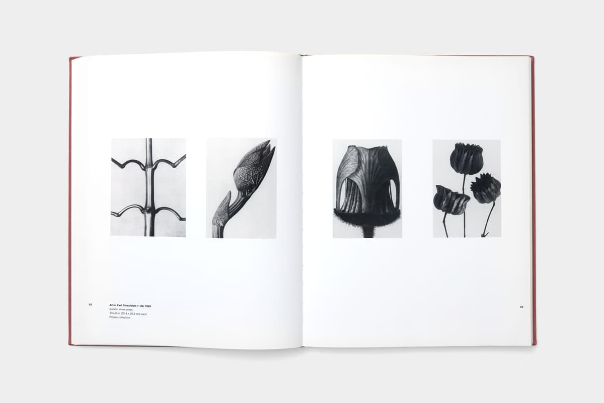 Sherrie Levine: Mayhem - image