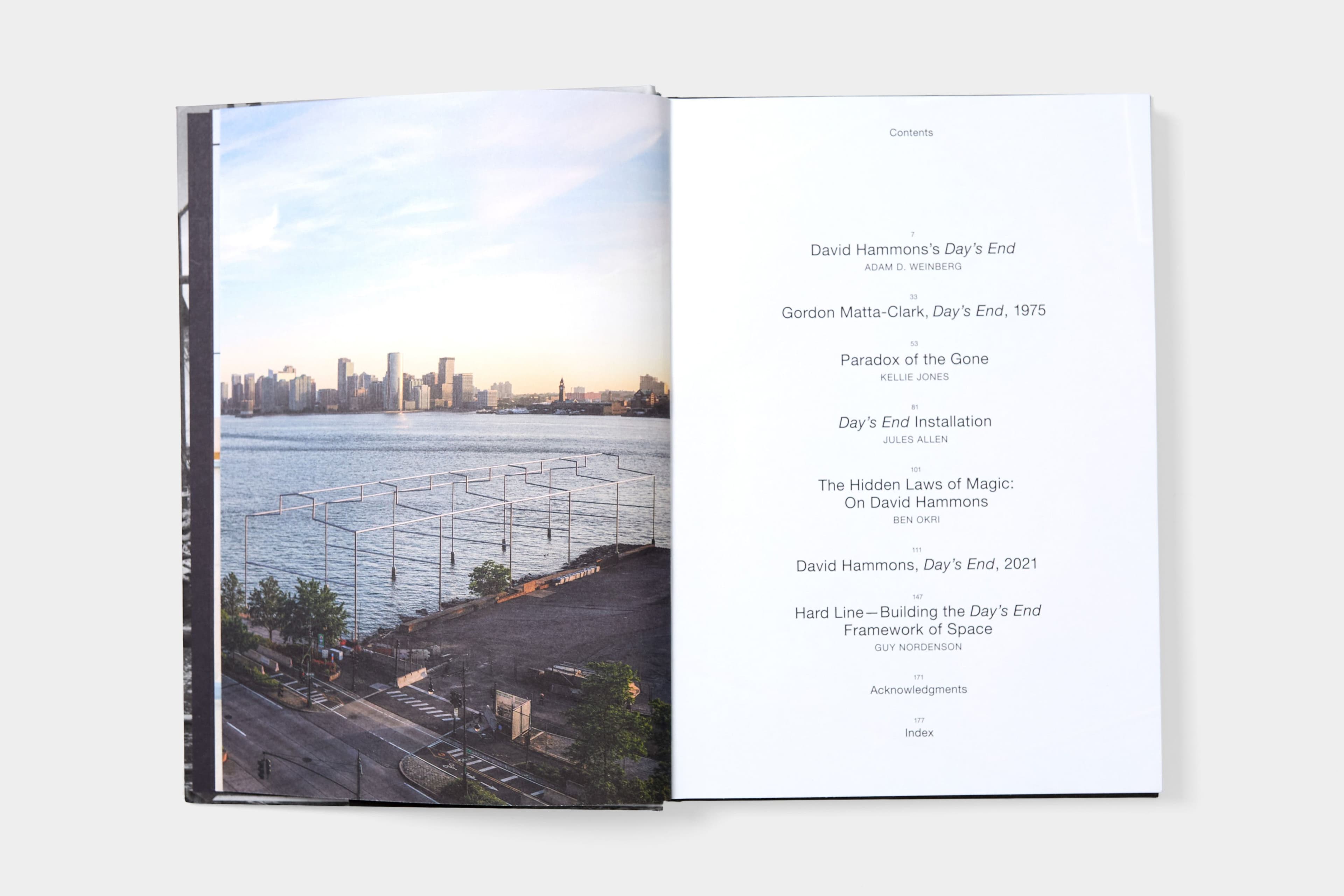 David Hammons: Day's End - image