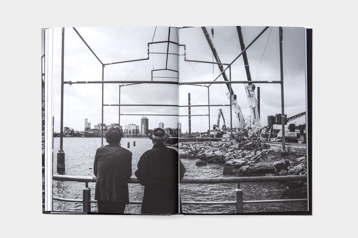 David Hammons: Day's End - image