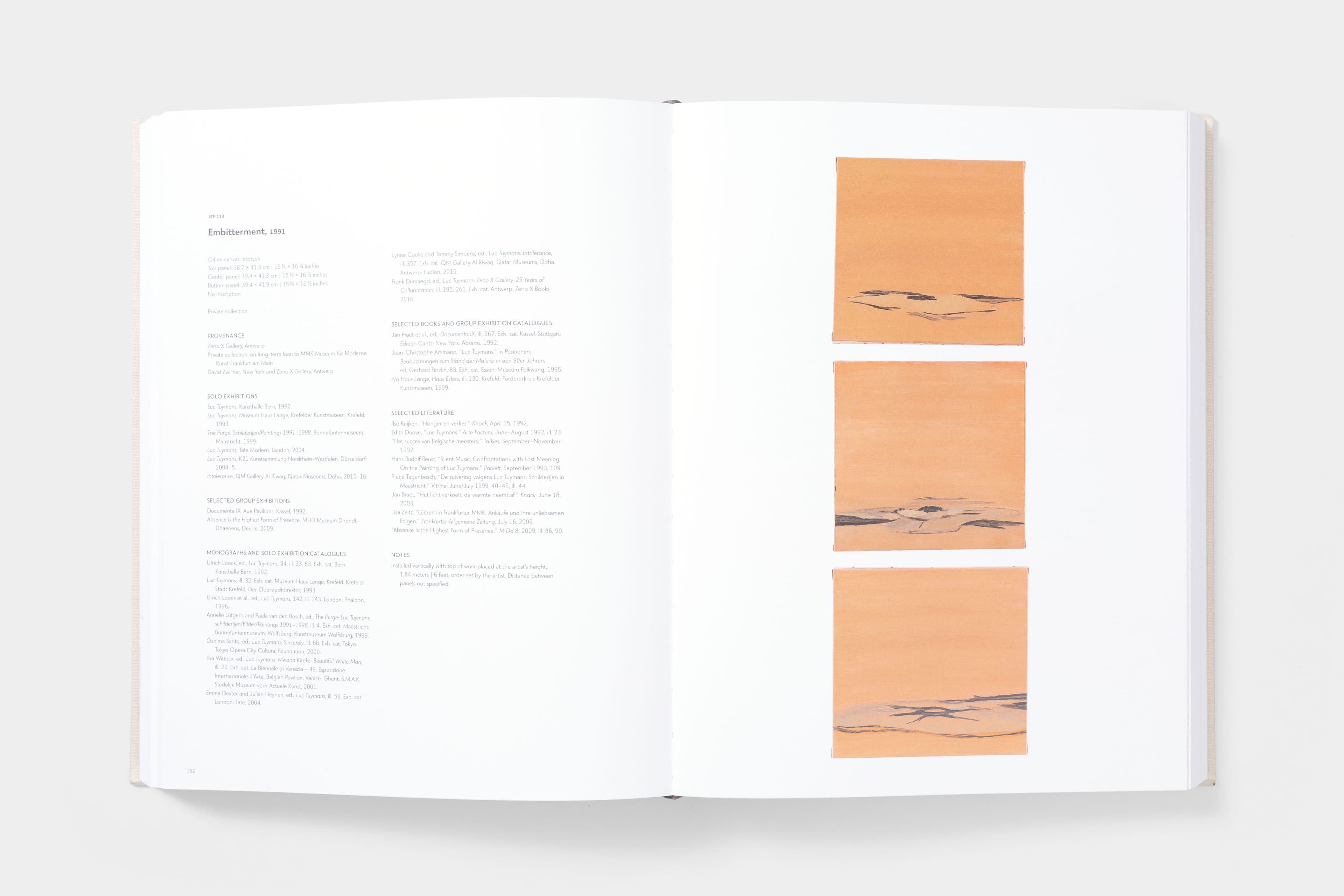 Luc Tuymans: Catalogue Raisonné of Paintings - image