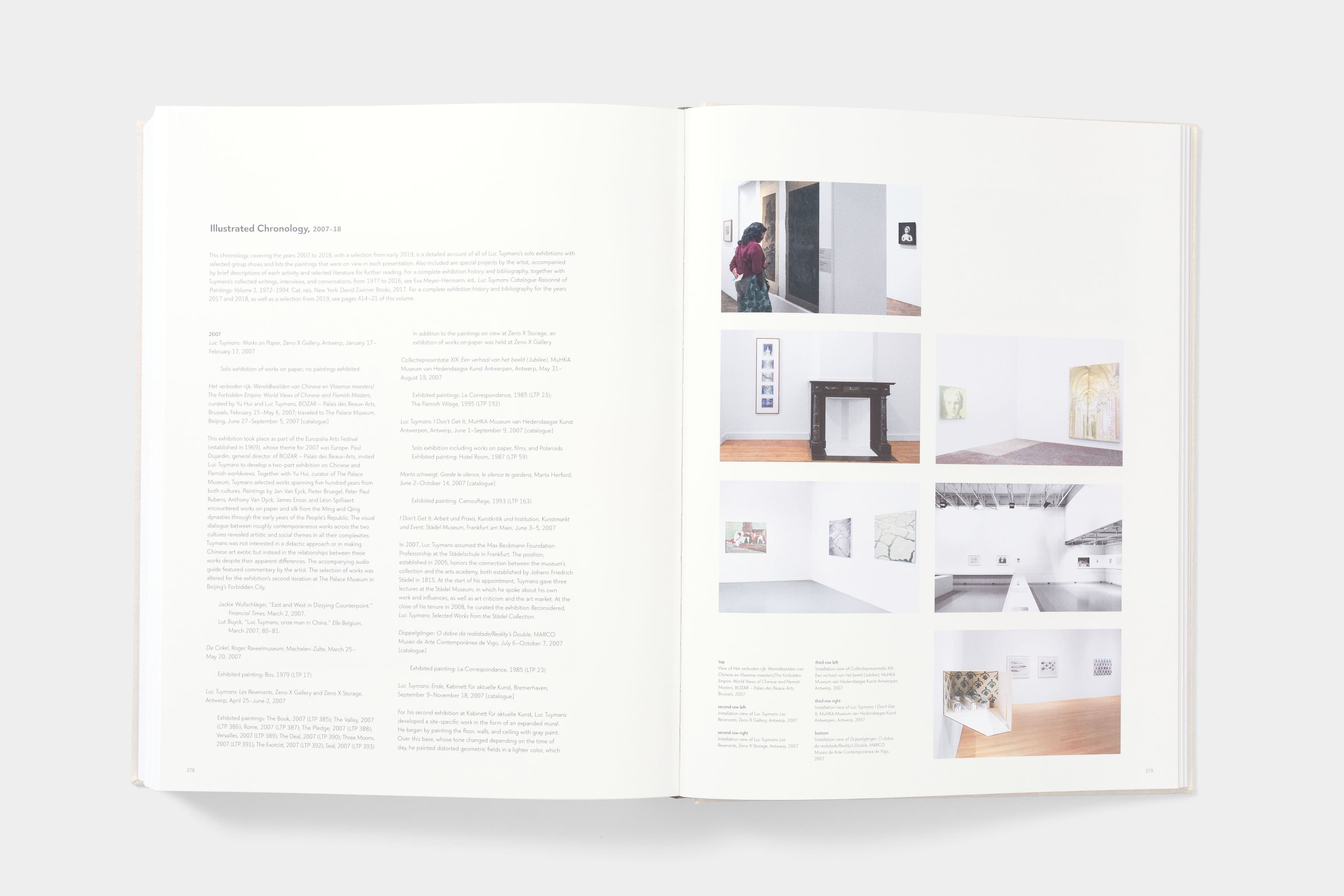 Luc Tuymans: Catalogue Raisonné of Paintings - image