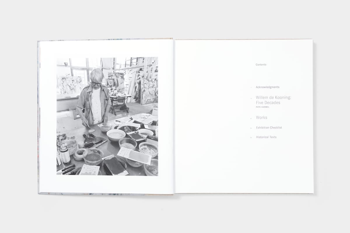 De Kooning: Five Decades - image