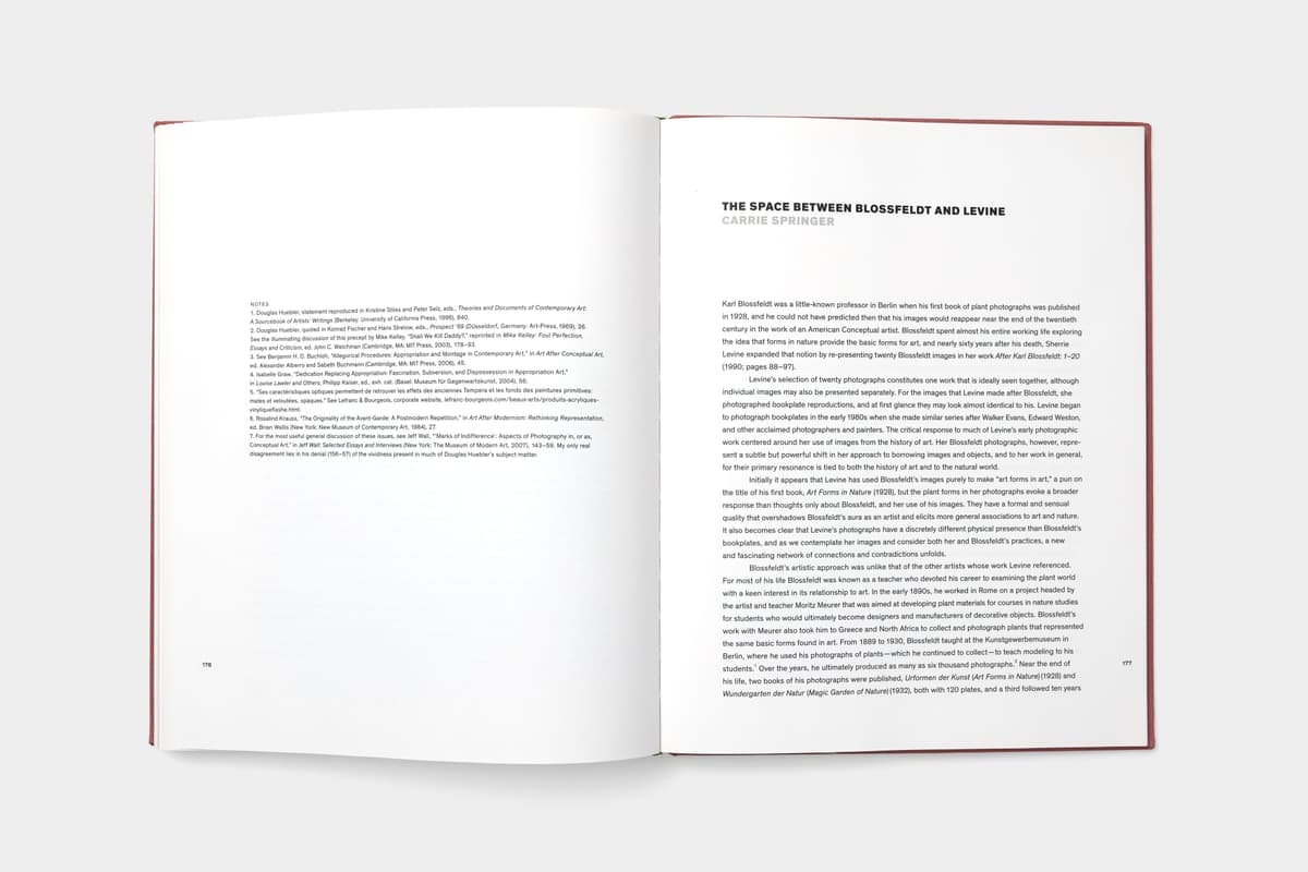 Sherrie Levine: Mayhem - image