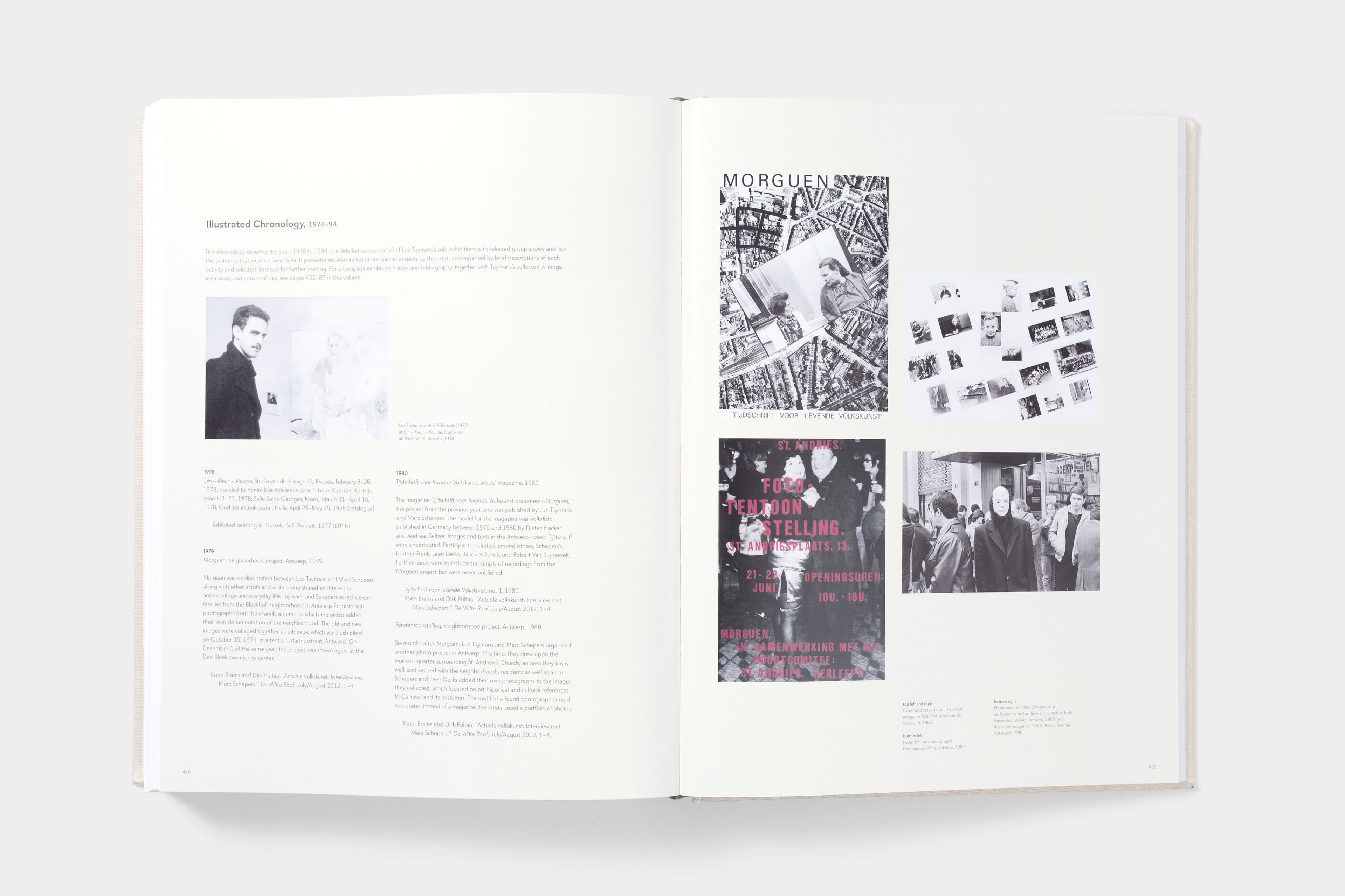 Luc Tuymans: Catalogue Raisonné of Paintings - image