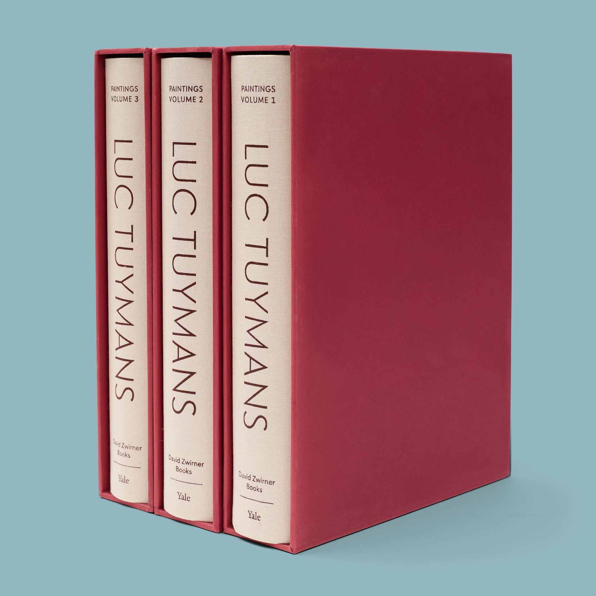 Luc Tuymans: Catalogue Raisonné of Paintings