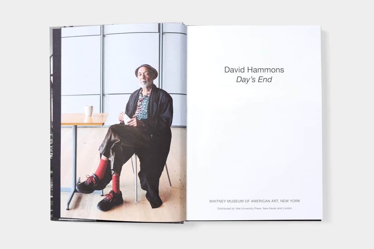 David Hammons: Day's End - image