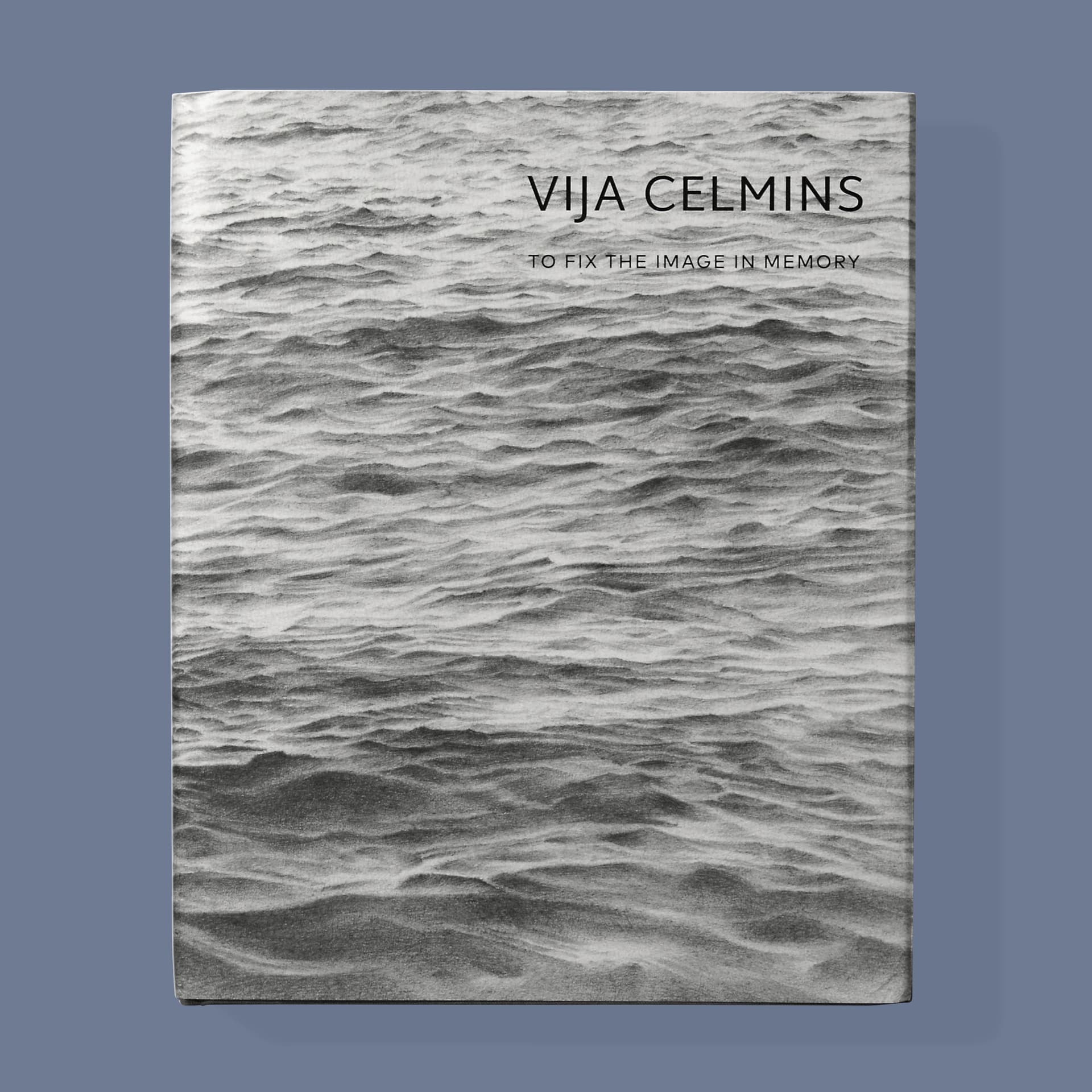 Vija Celmins: To Fix The Image In Memory