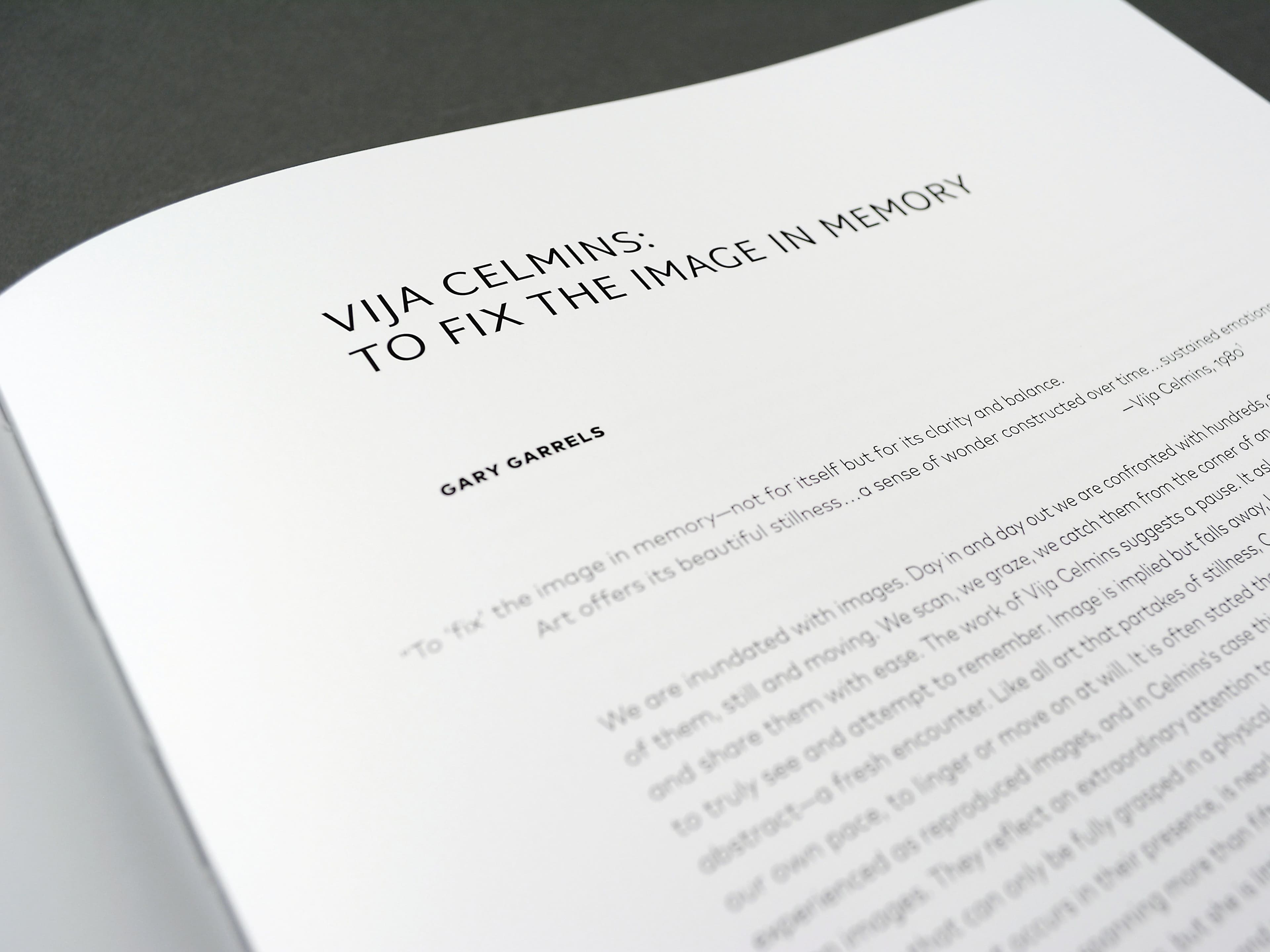 Vija Celmins: To Fix The Image In Memory - image