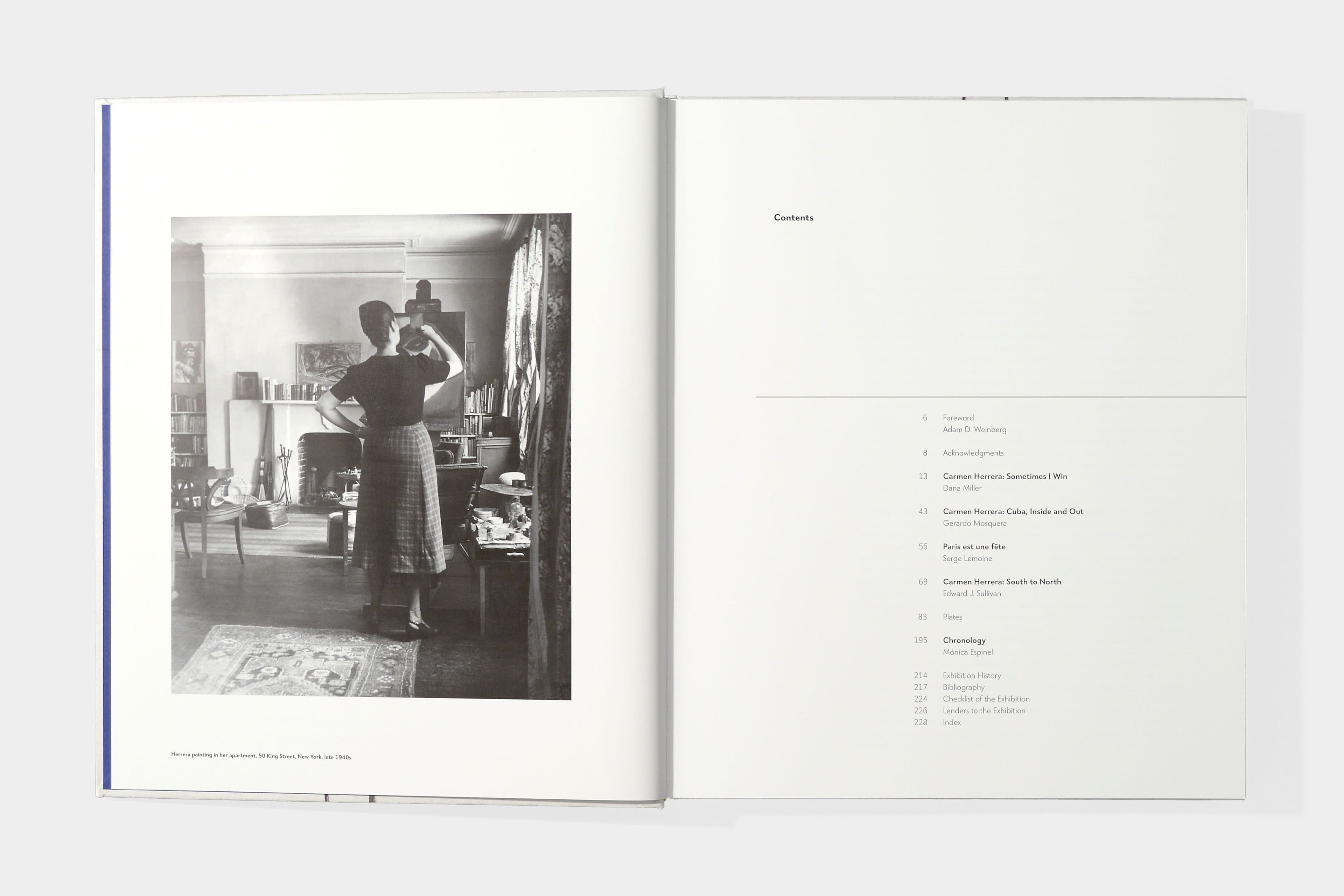 Carmen Herrera: Lines of Sight - image