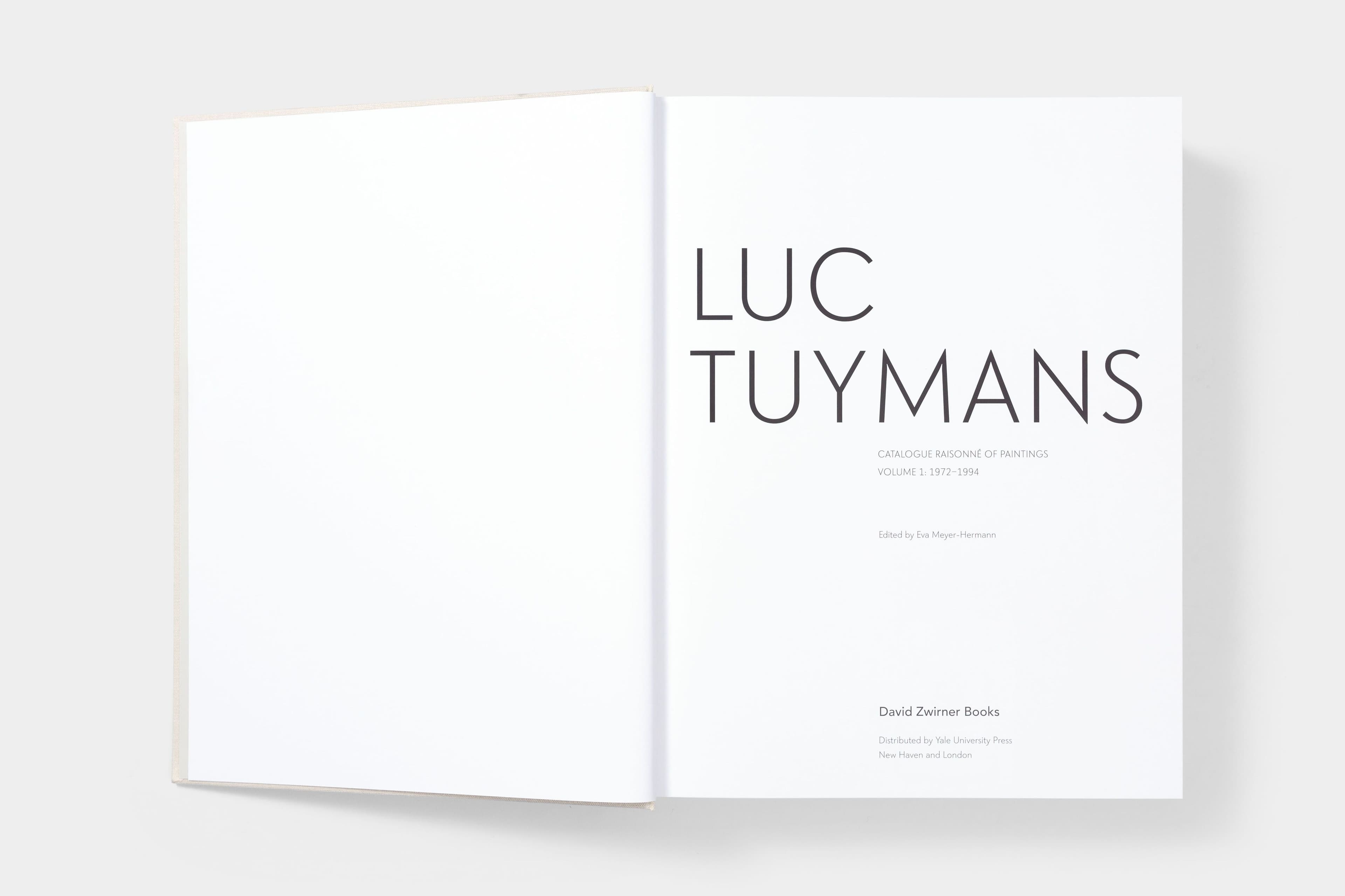 Luc Tuymans: Catalogue Raisonné of Paintings - image