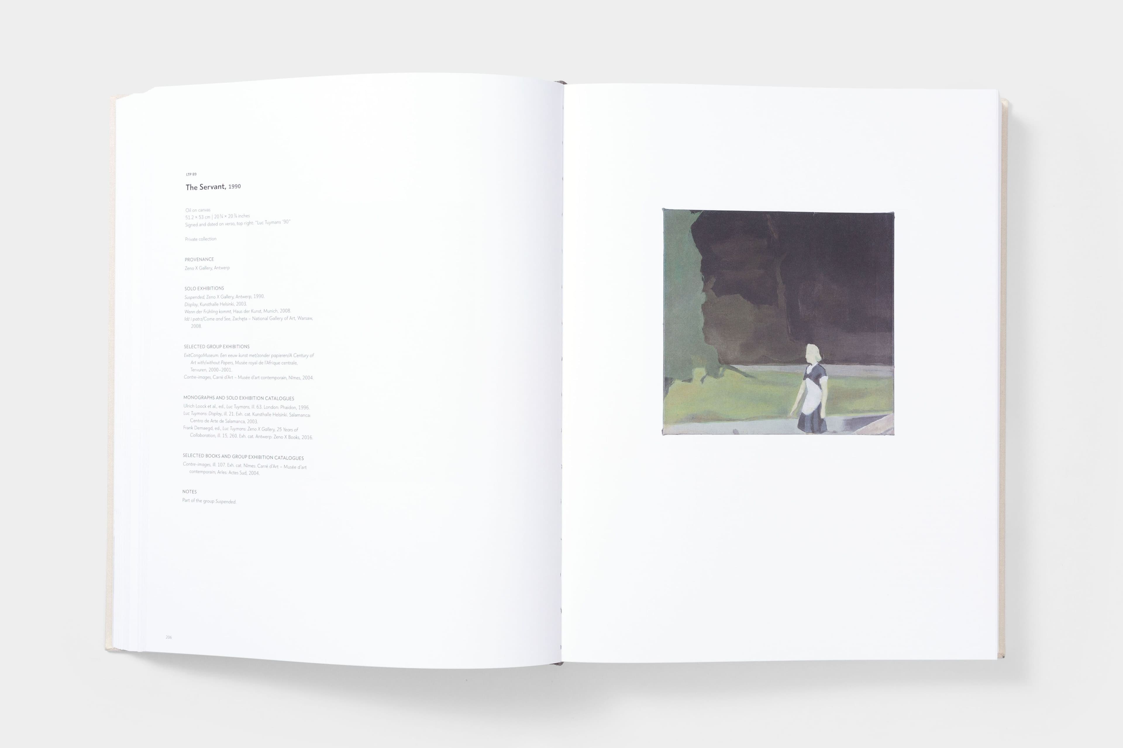 Luc Tuymans: Catalogue Raisonné of Paintings - image