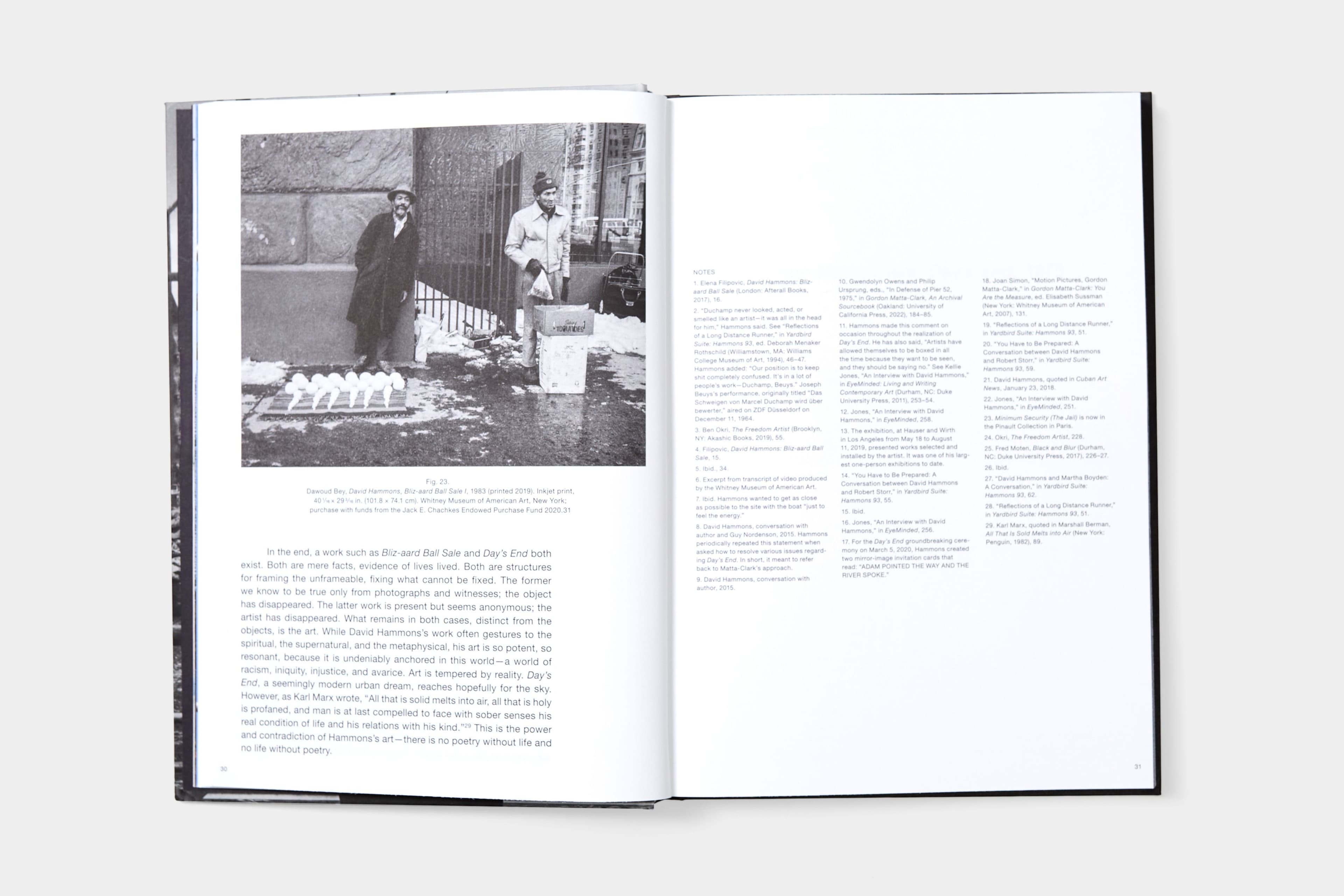 David Hammons: Day's End - image