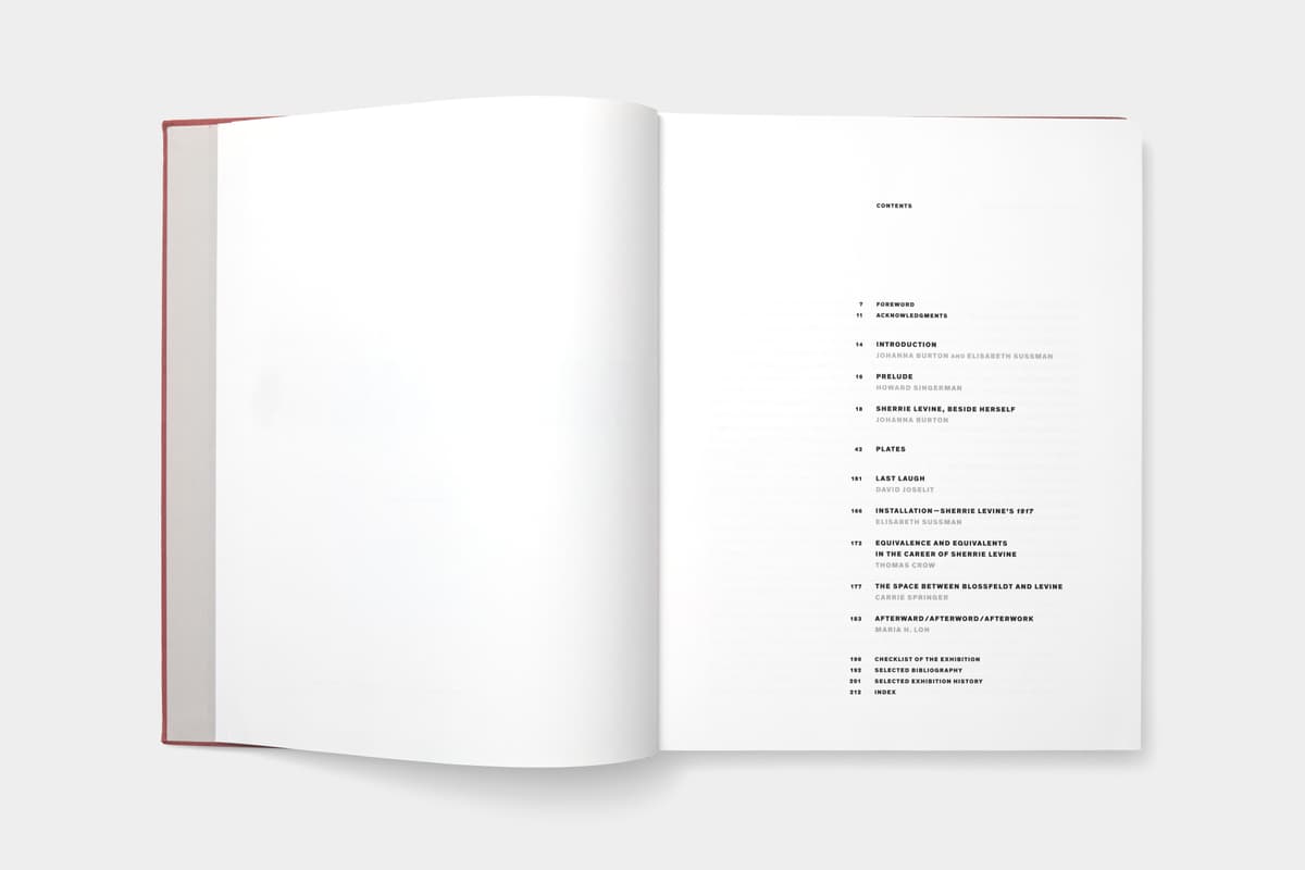 Sherrie Levine: Mayhem - image