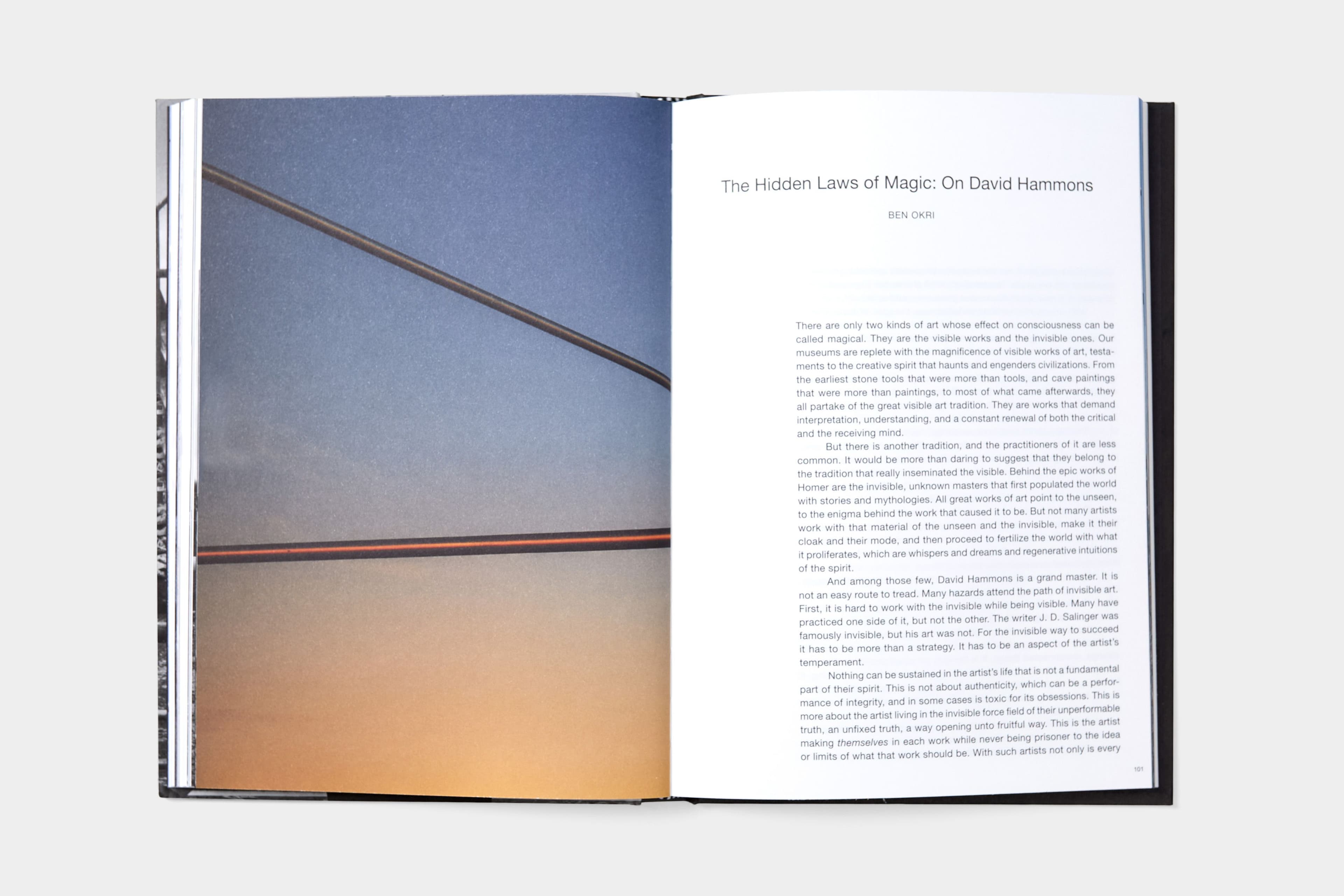 David Hammons: Day's End - image