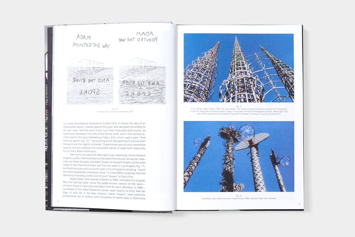 David Hammons: Day's End - image