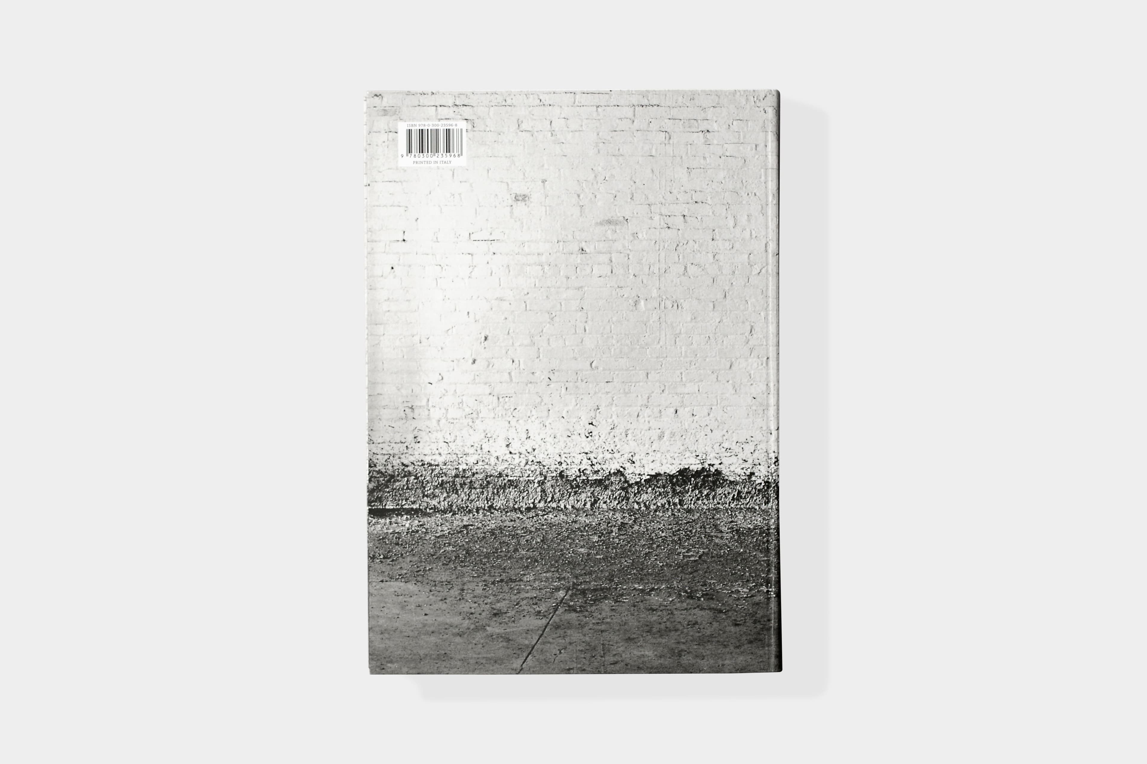 Richard Serra/Hall Foster: Conversations About Sculpture - image