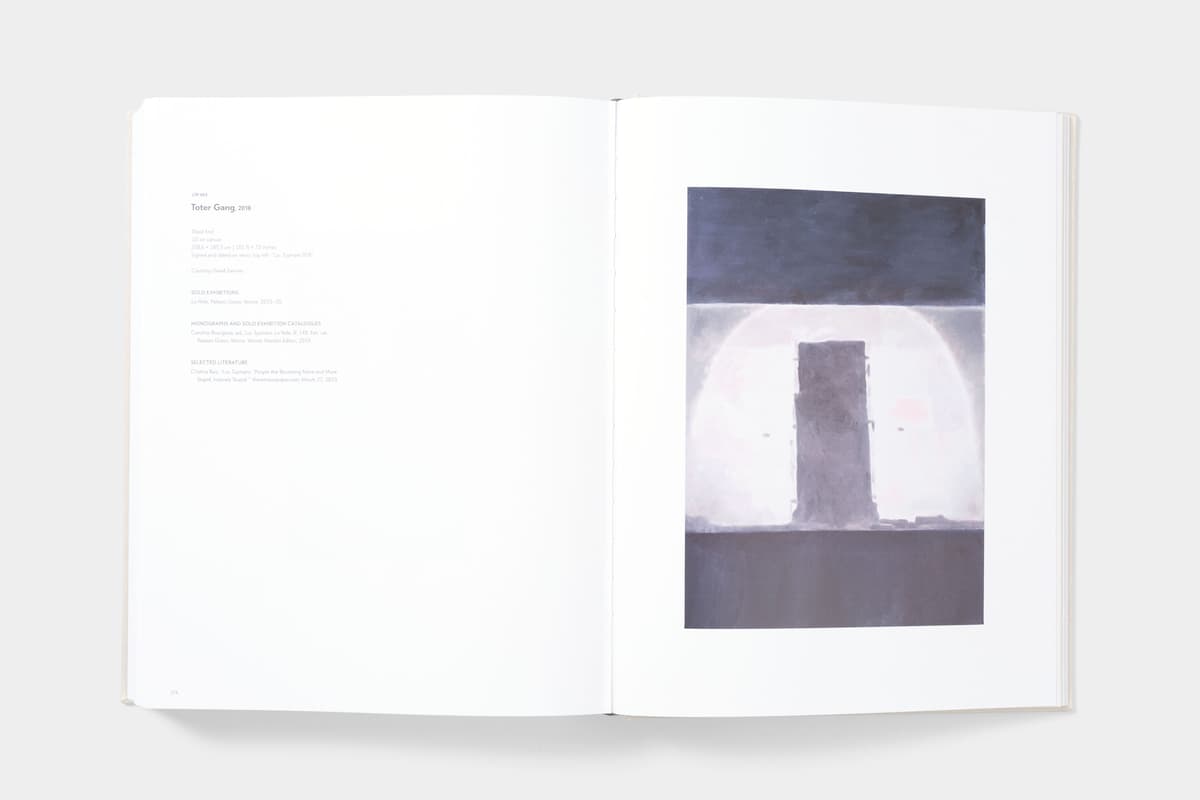 Luc Tuymans: Catalogue Raisonné of Paintings - image
