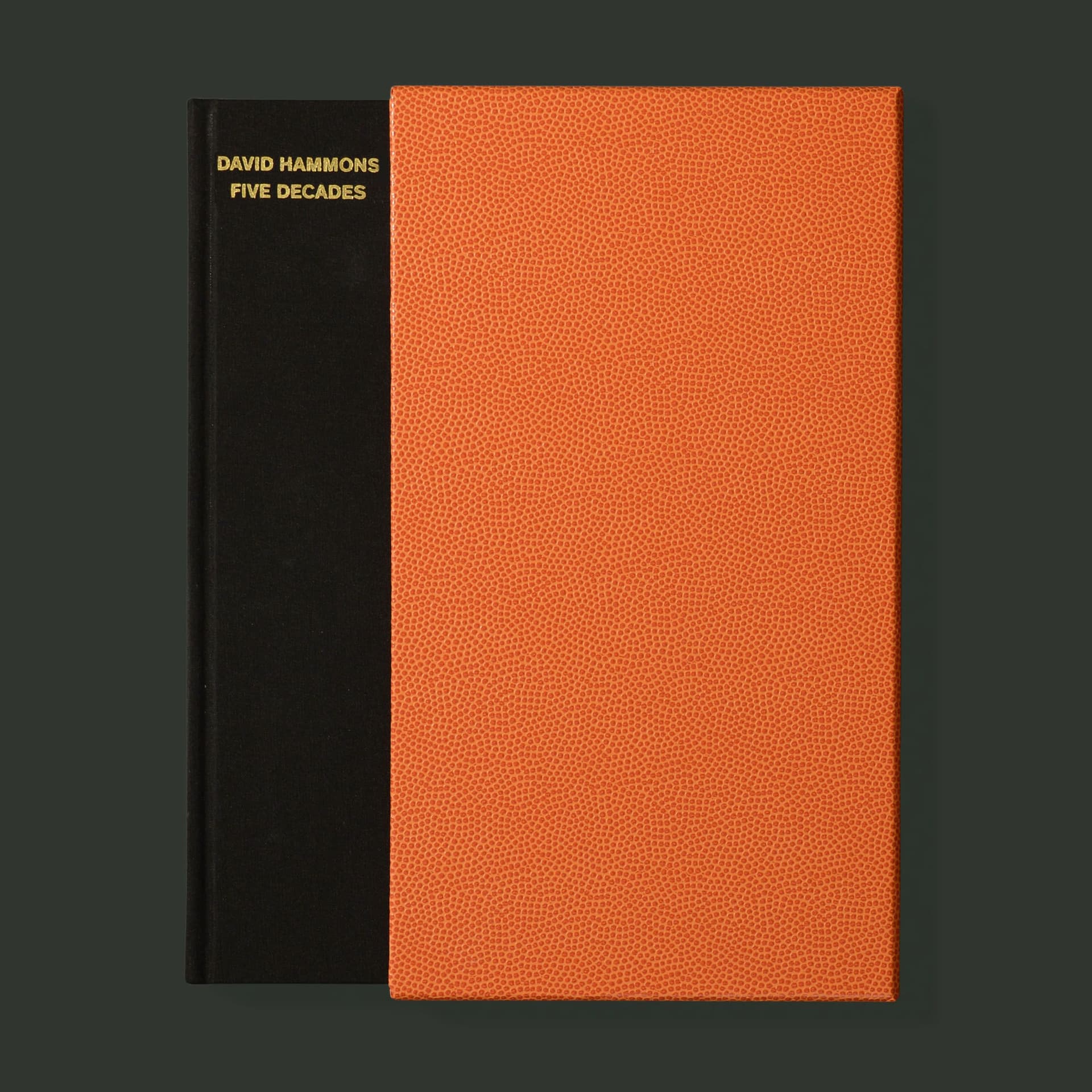 David Hammons: Five Decades