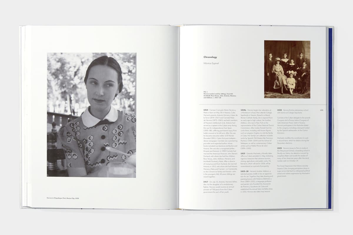 Carmen Herrera: Lines of Sight - image