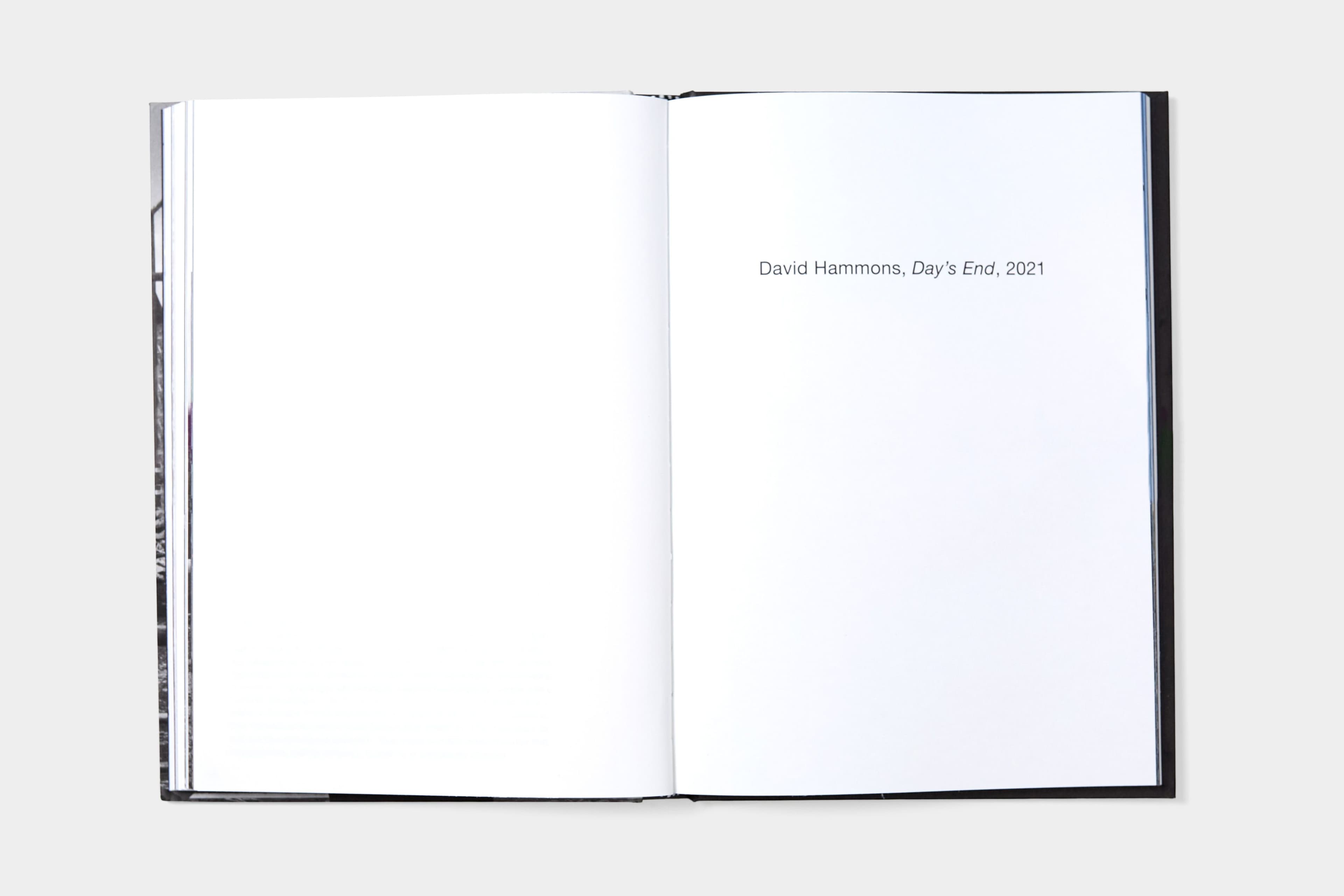 David Hammons: Day's End - image