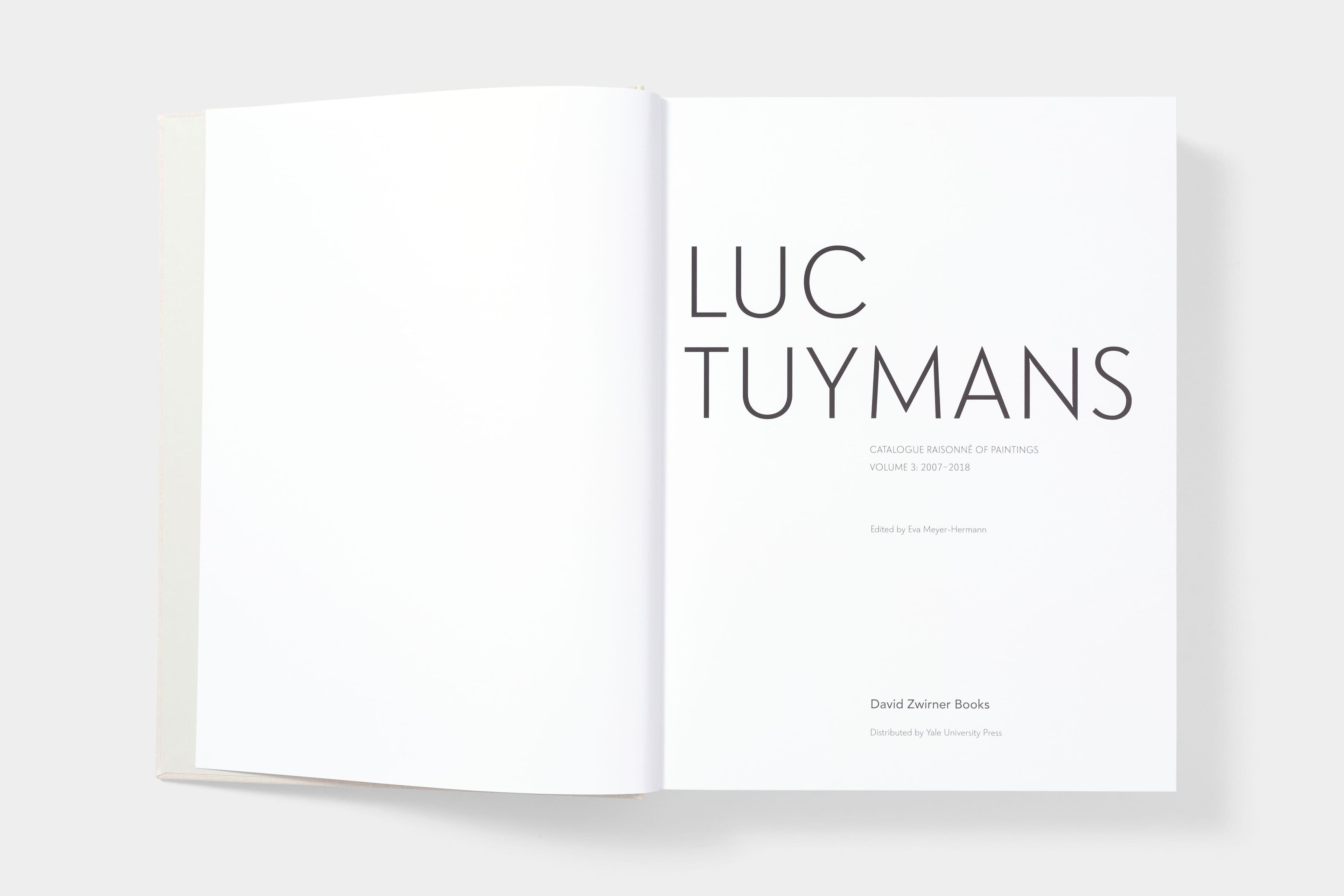 Luc Tuymans: Catalogue Raisonné of Paintings - image