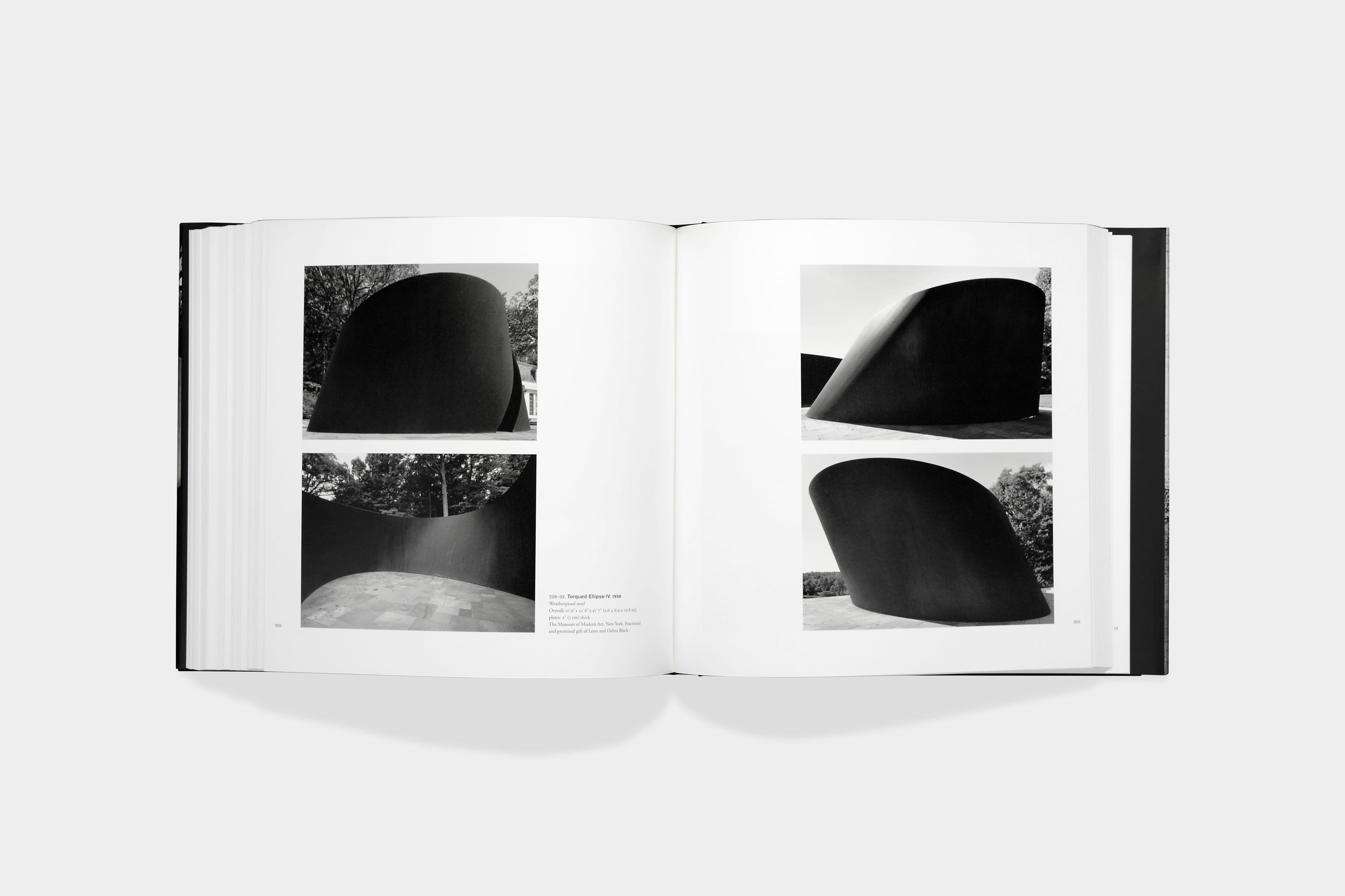 Richard Serra, Sculpture: Forty Years - image