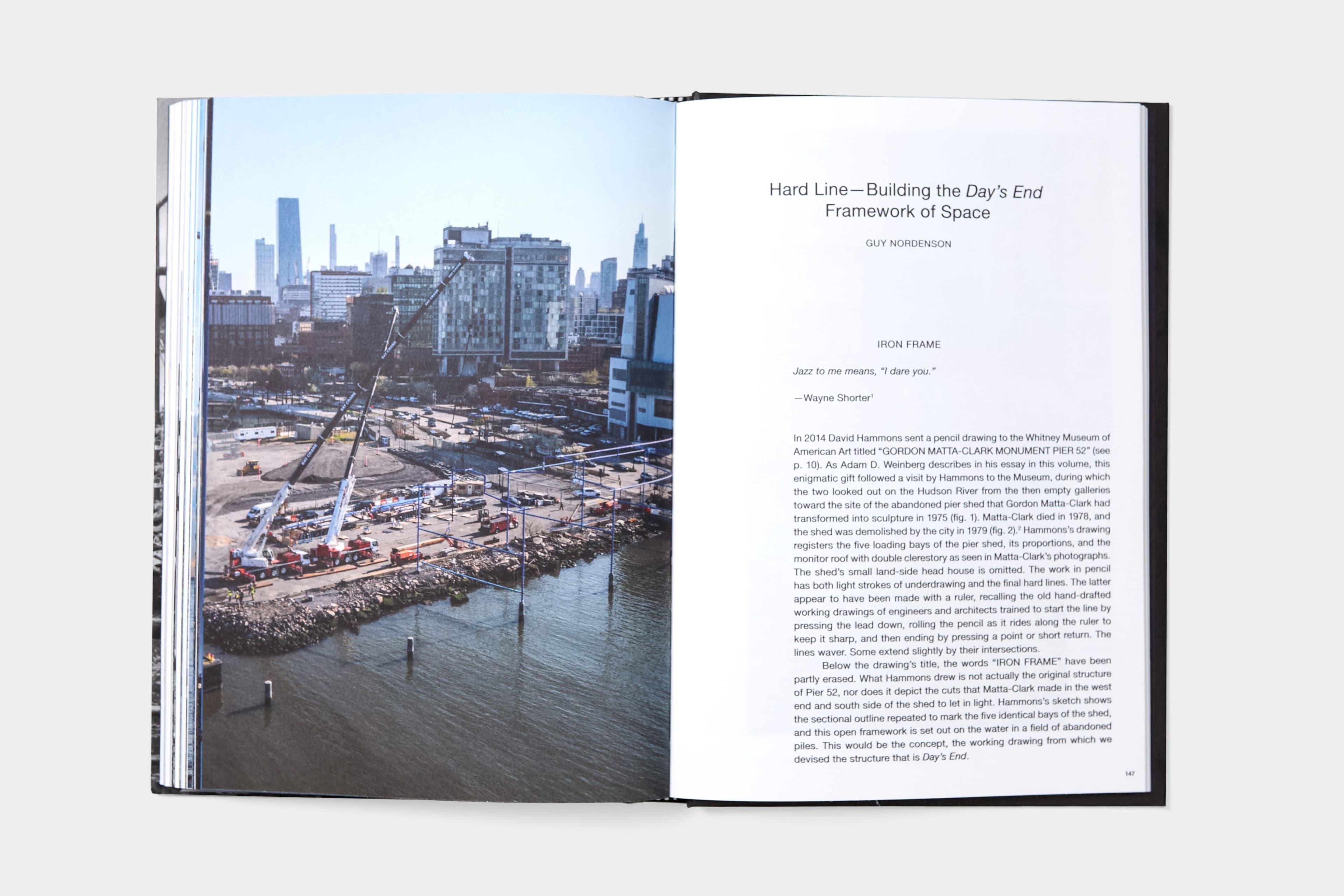 David Hammons: Day's End - image