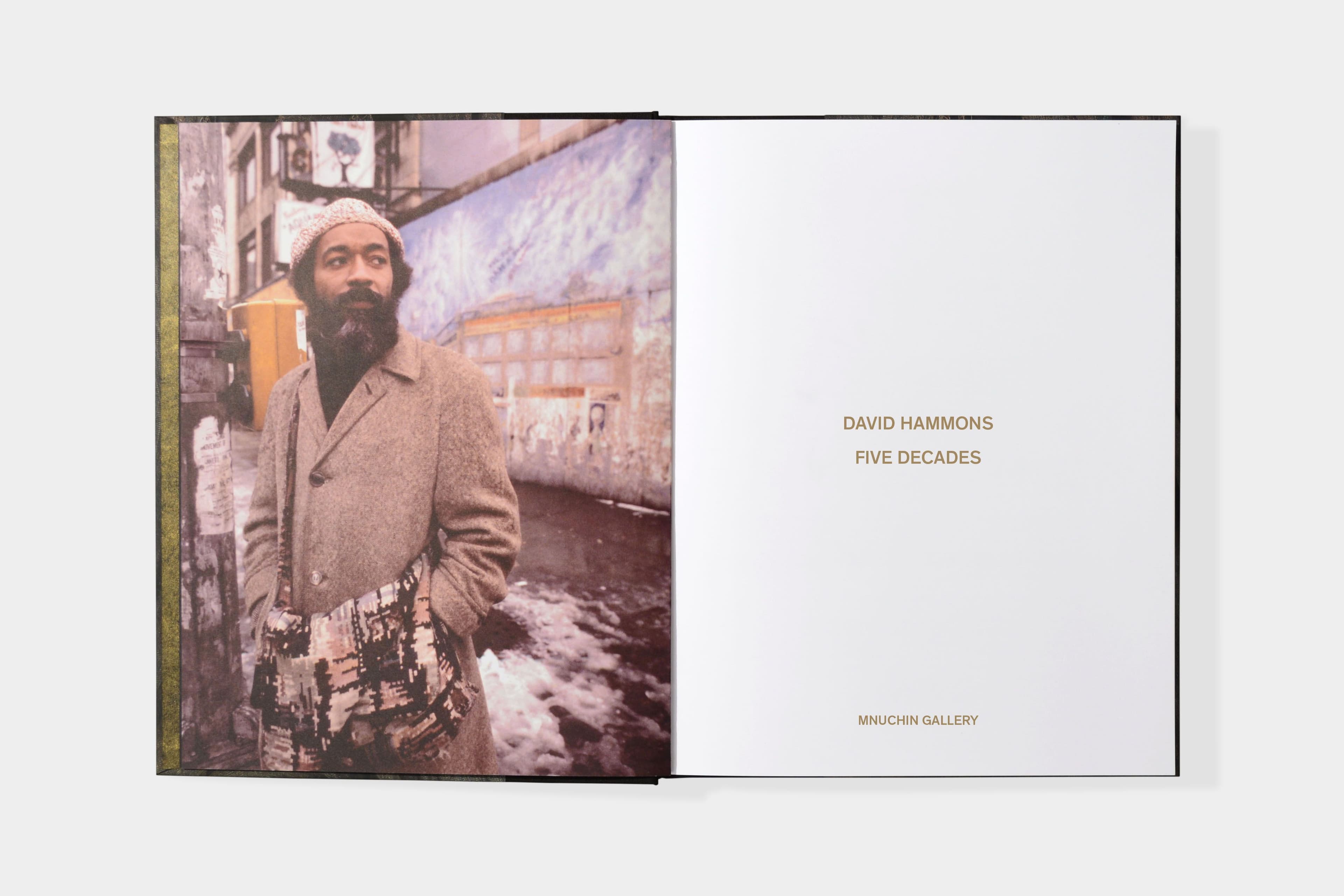 David Hammons: Five Decades - image